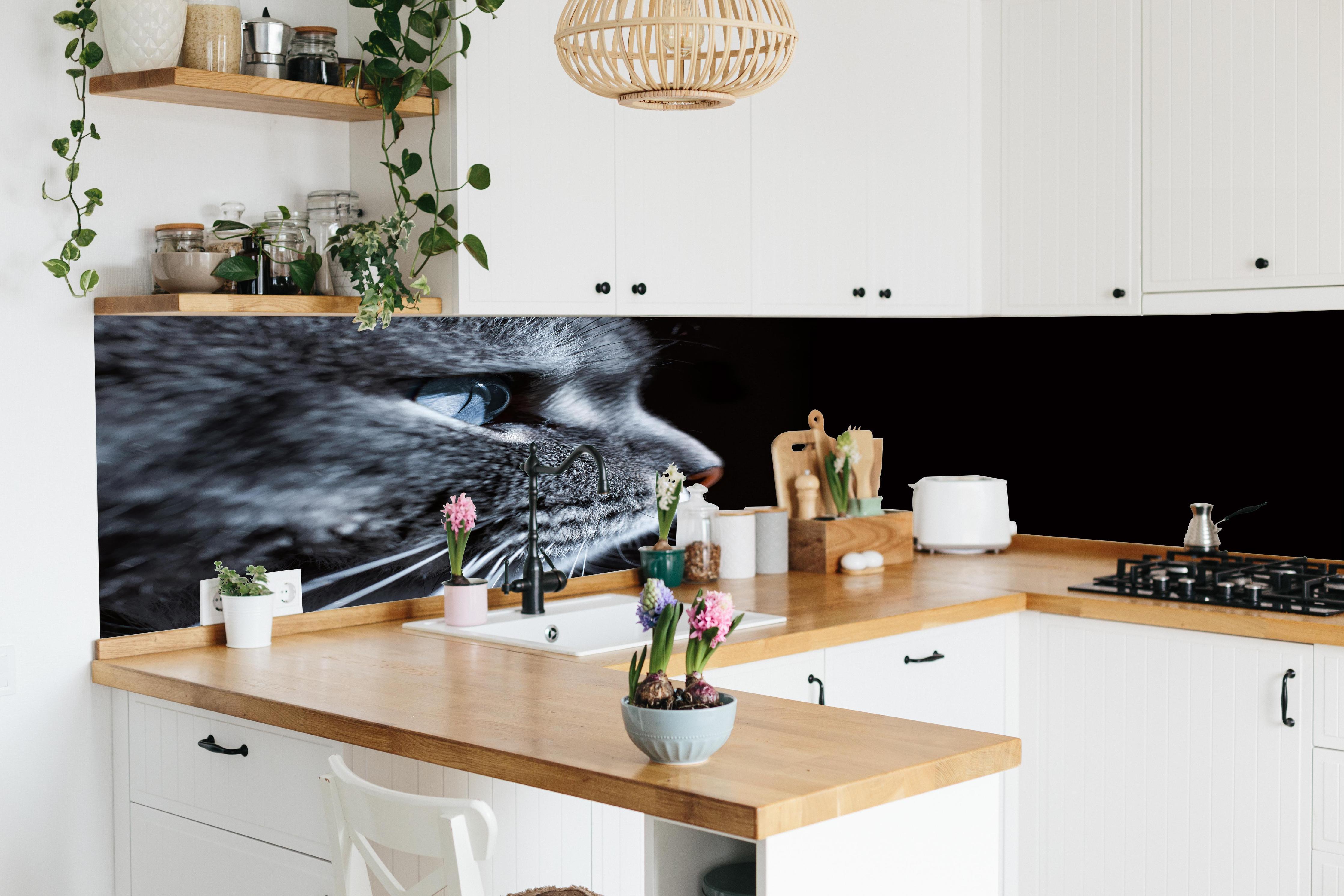 Küche - Seitliches Katzen-Portrait in lebendiger Küche mit bunten Blumen