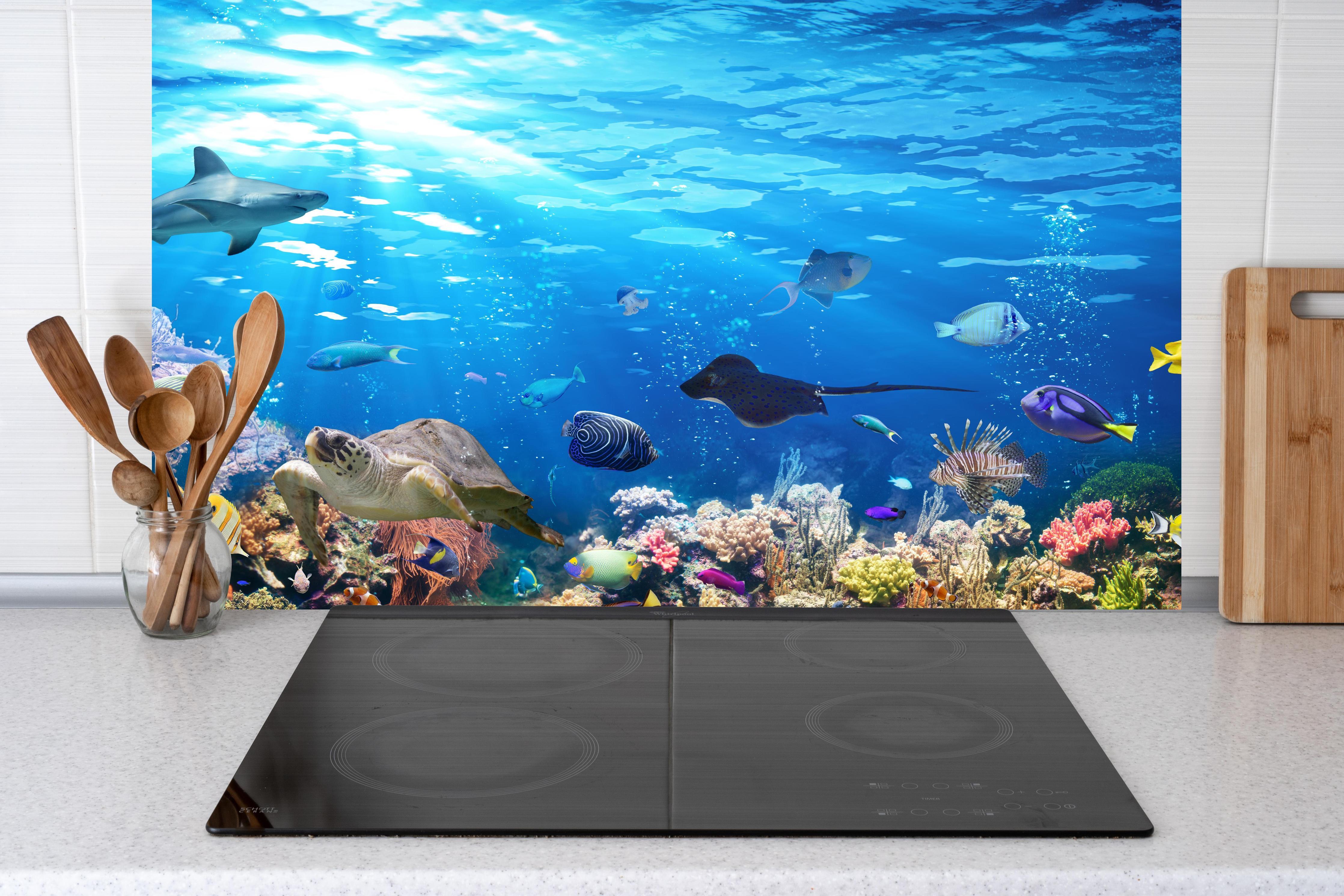 Küche - Vielfältige Unterwasserwelt hinter Cerankochfeld und Holz-Kochutensilien