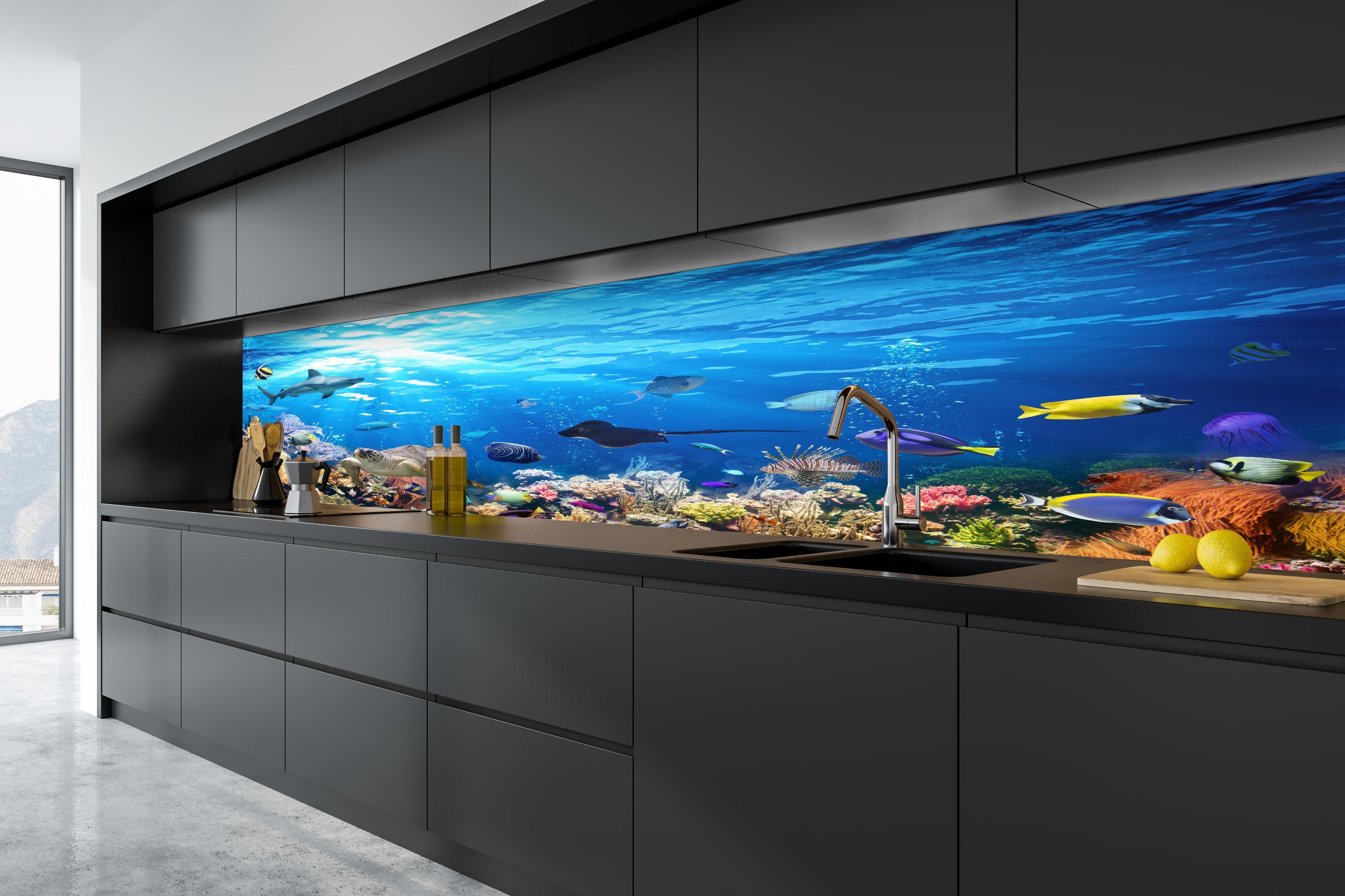 Küche - Vielfältige Unterwasserwelt in tiefschwarzer matt-premium Einbauküche