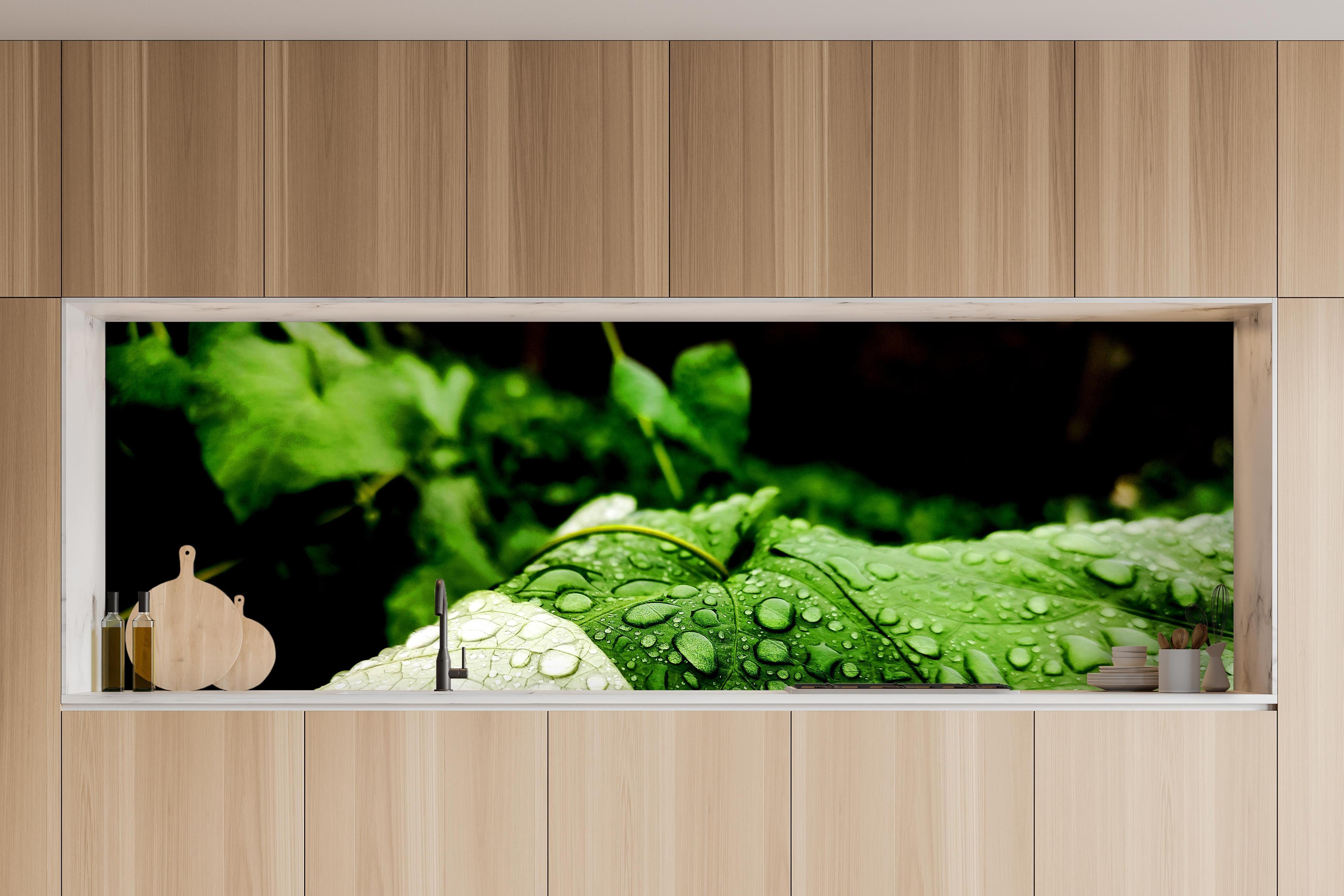 Küche - Wassertropfen auf einem Blatt in charakteristischer Vollholz-Küche mit modernem Gasherd