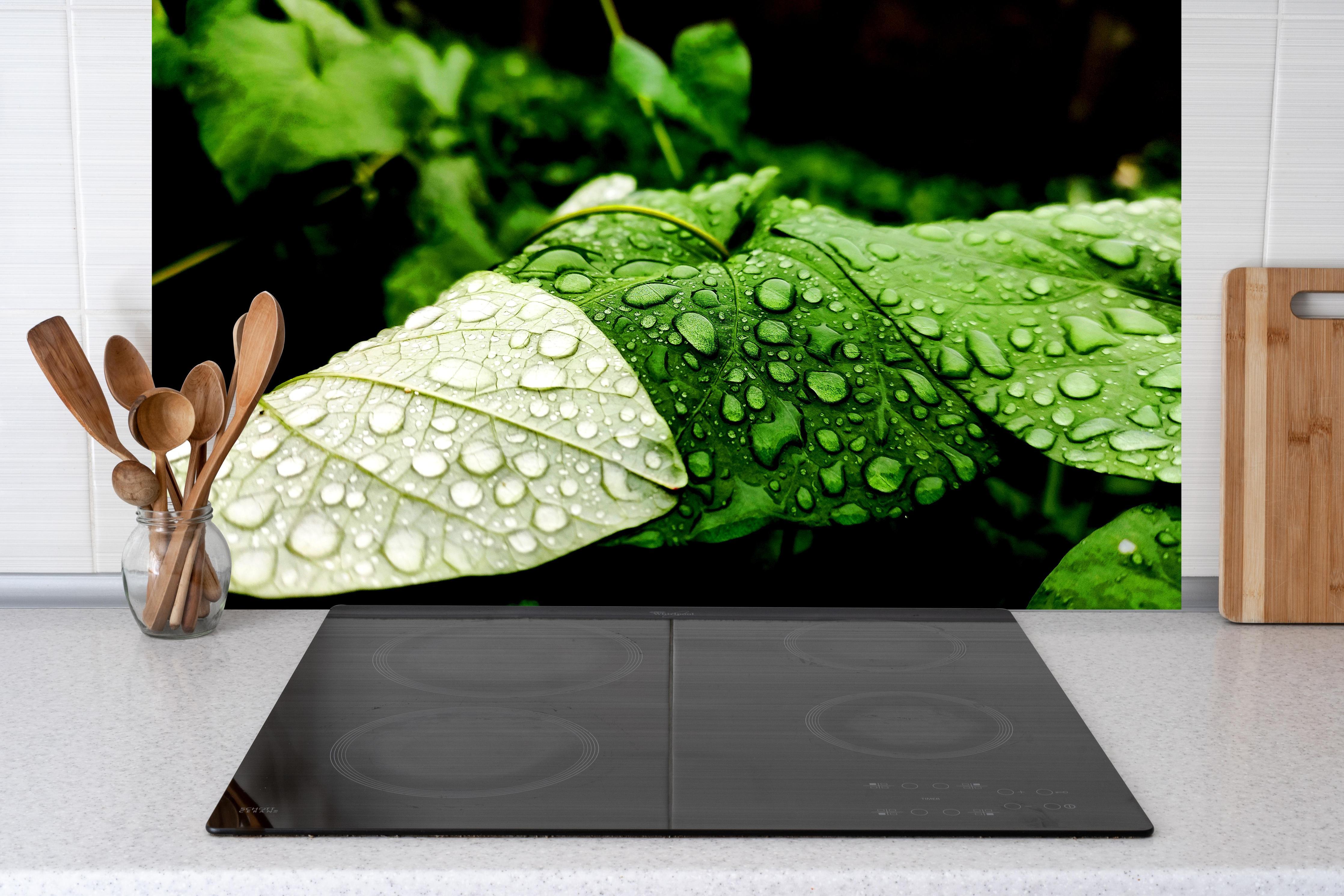Küche - Wassertropfen auf einem Blatt hinter Cerankochfeld und Holz-Kochutensilien