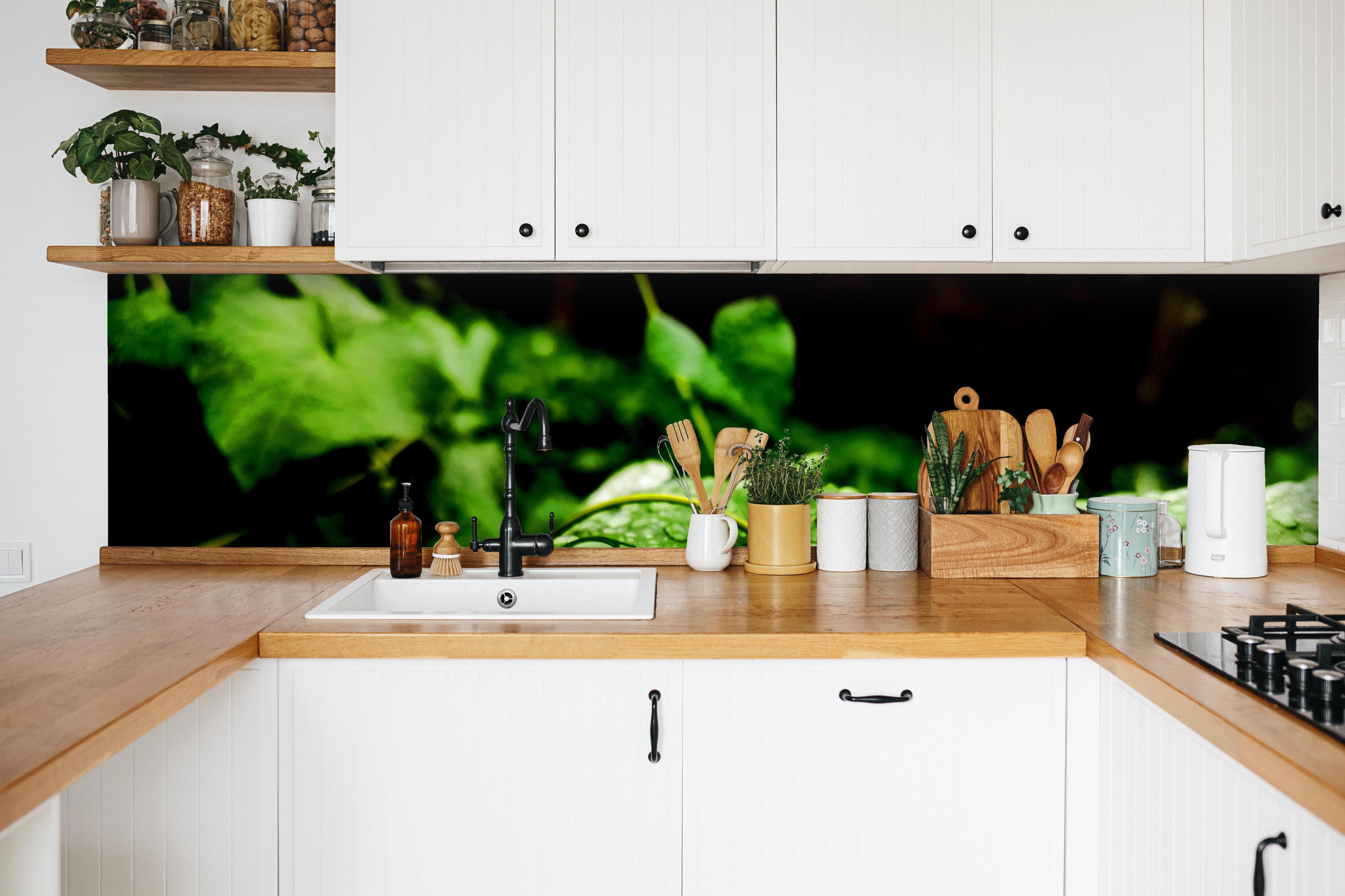 Küche - Wassertropfen auf einem Blatt in weißer Küche hinter Gewürzen und Kochlöffeln aus Holz