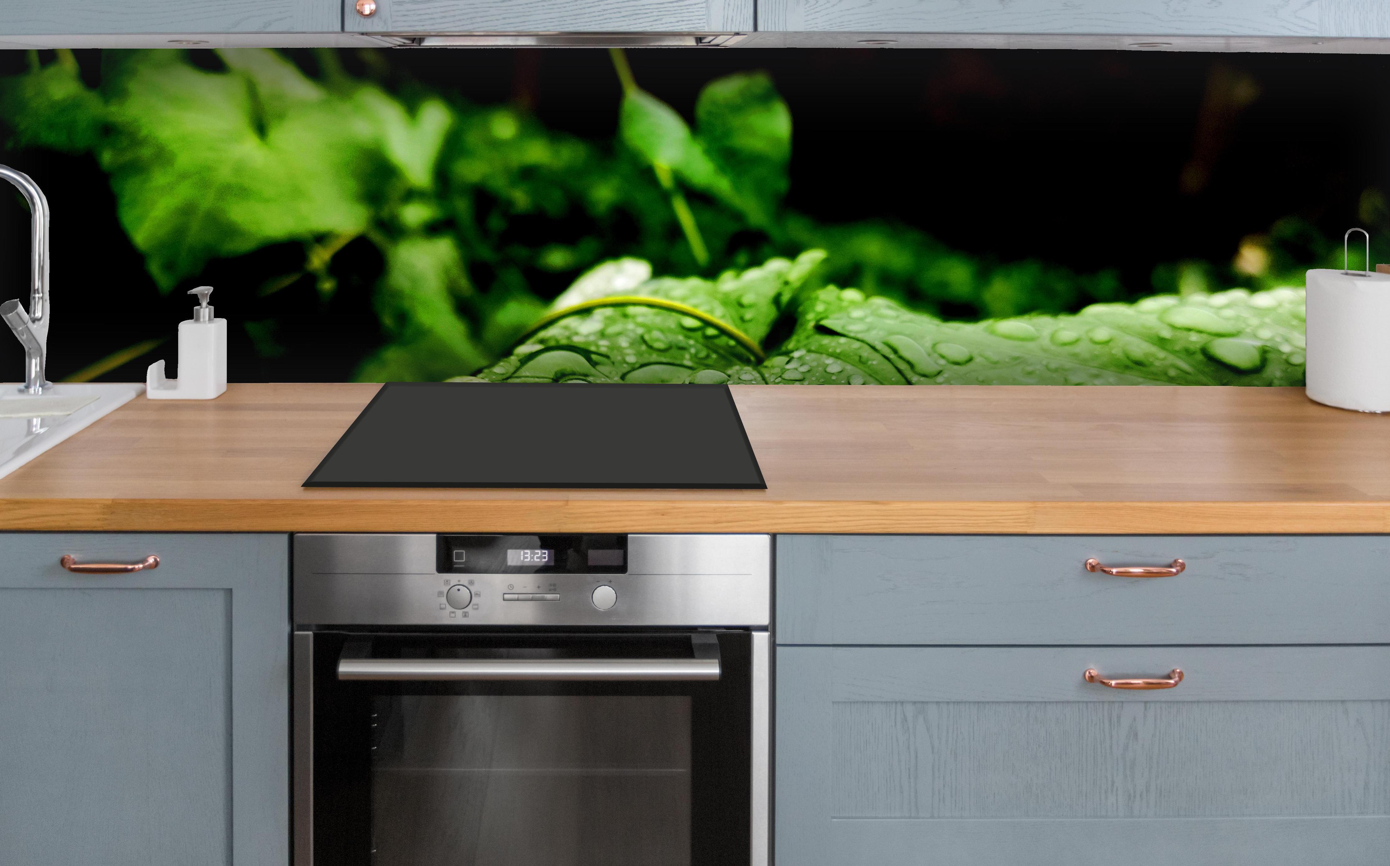 Küche - Wassertropfen auf einem Blatt über polierter Holzarbeitsplatte mit Cerankochfeld