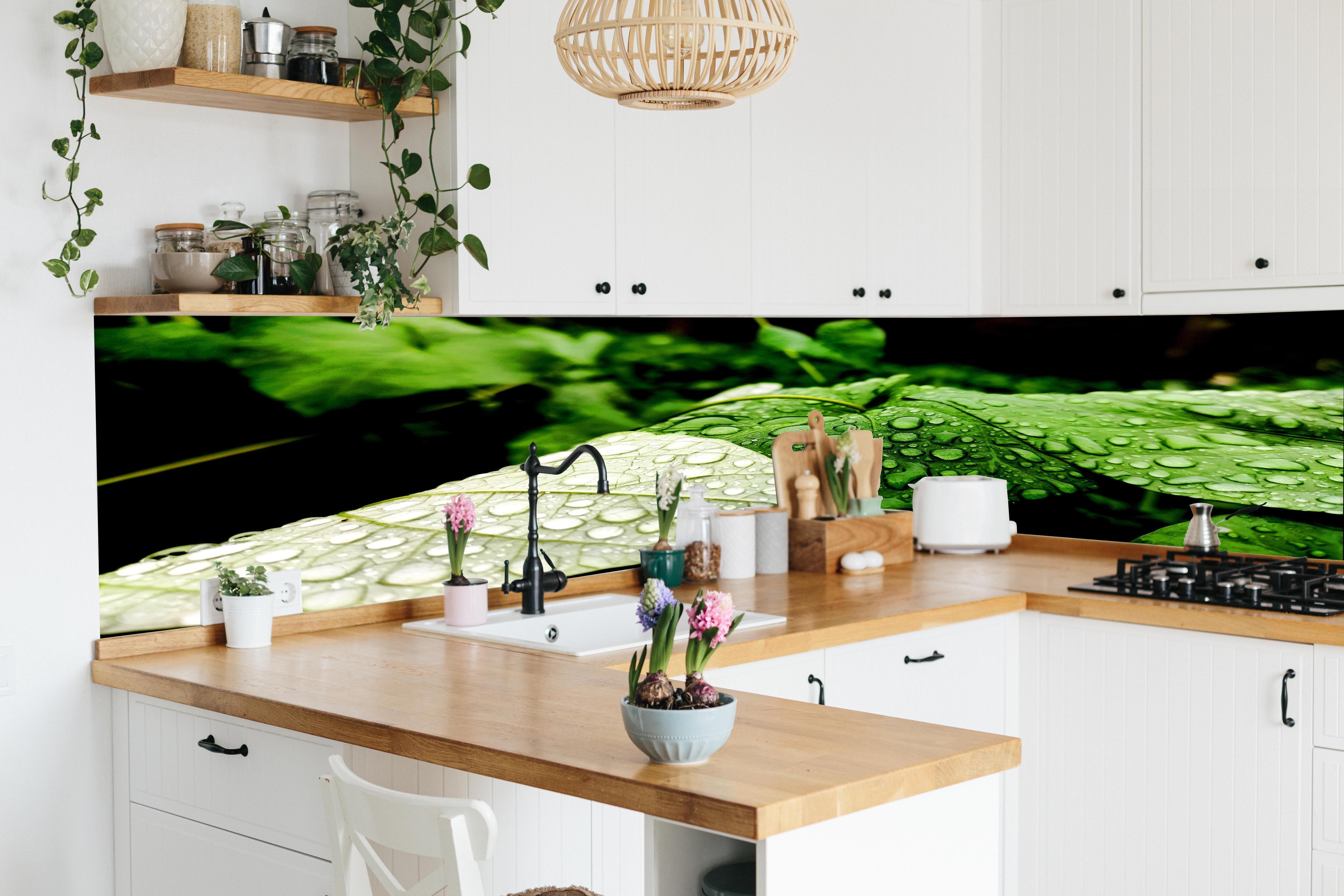 Küche - Wassertropfen auf einem Blatt in lebendiger Küche mit bunten Blumen