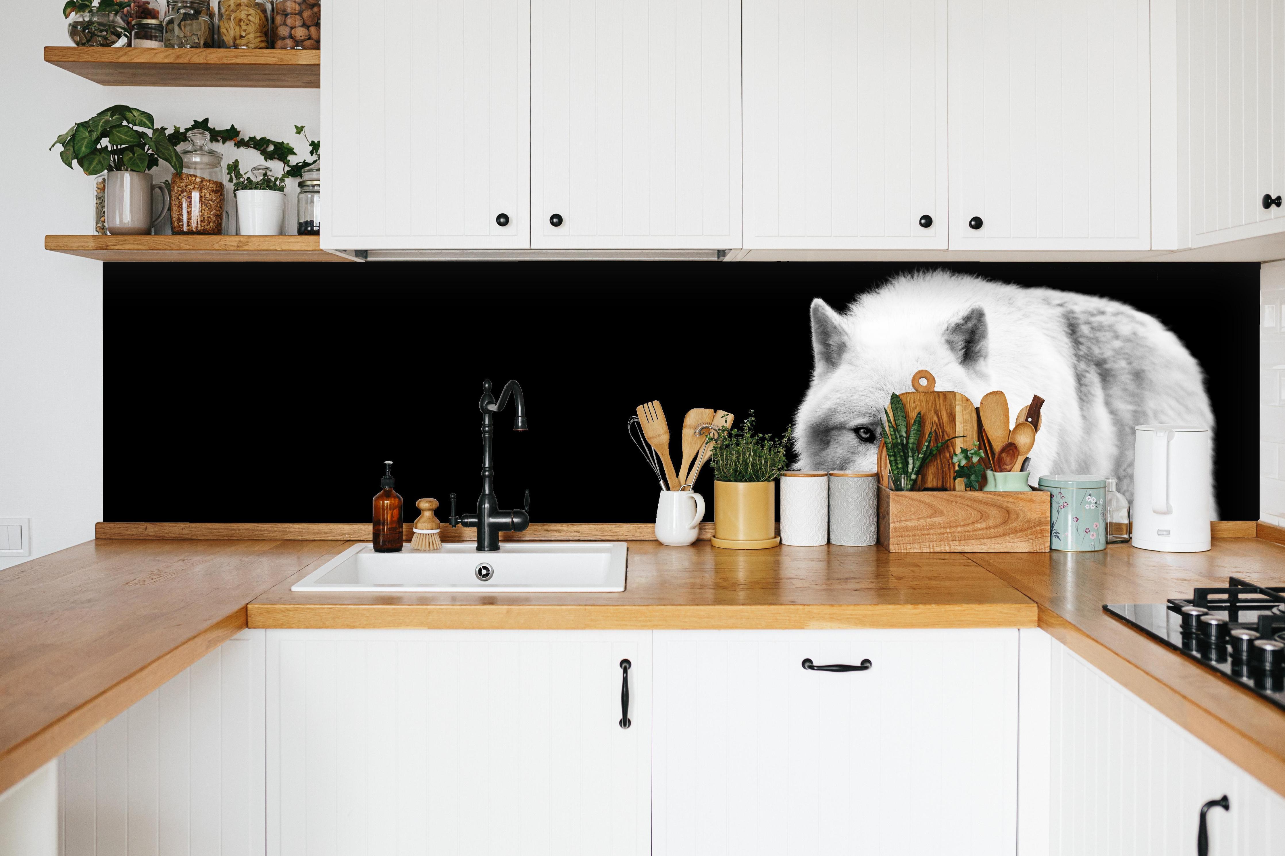 Küche - Weißer Wolf mit schwarzem Hintergrund in weißer Küche hinter Gewürzen und Kochlöffeln aus Holz