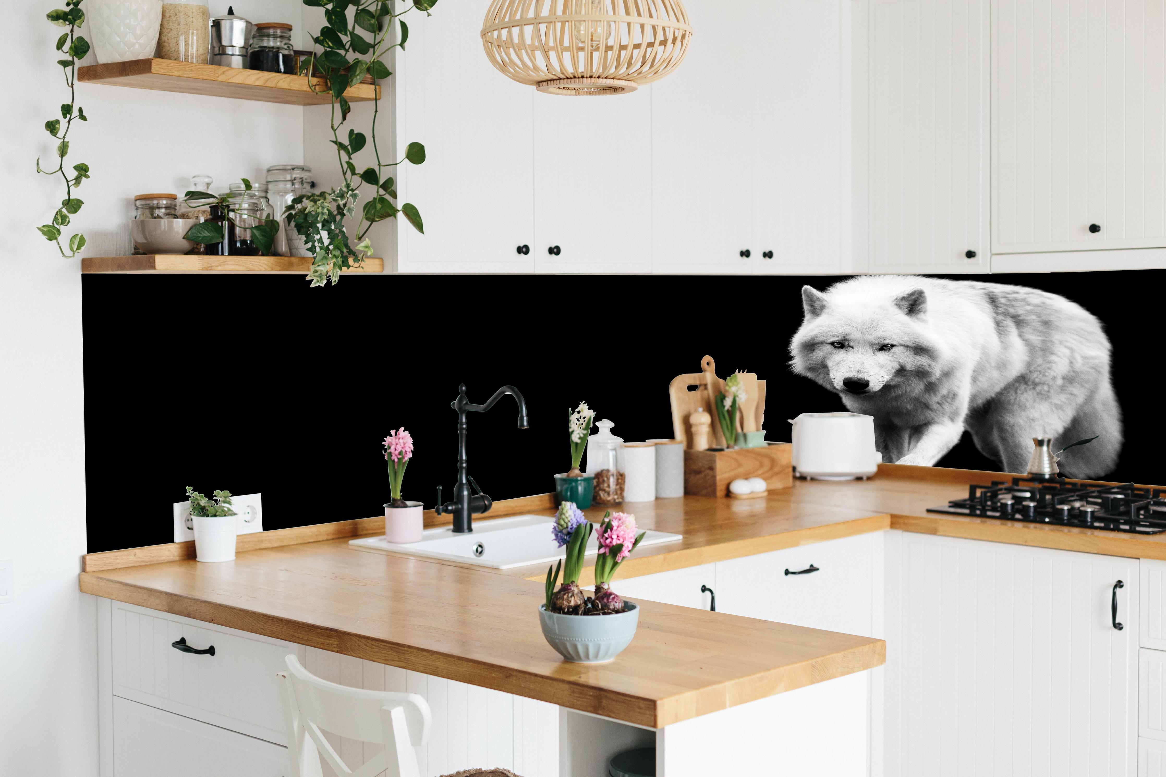 Küche - Weißer Wolf mit schwarzem Hintergrund in lebendiger Küche mit bunten Blumen
