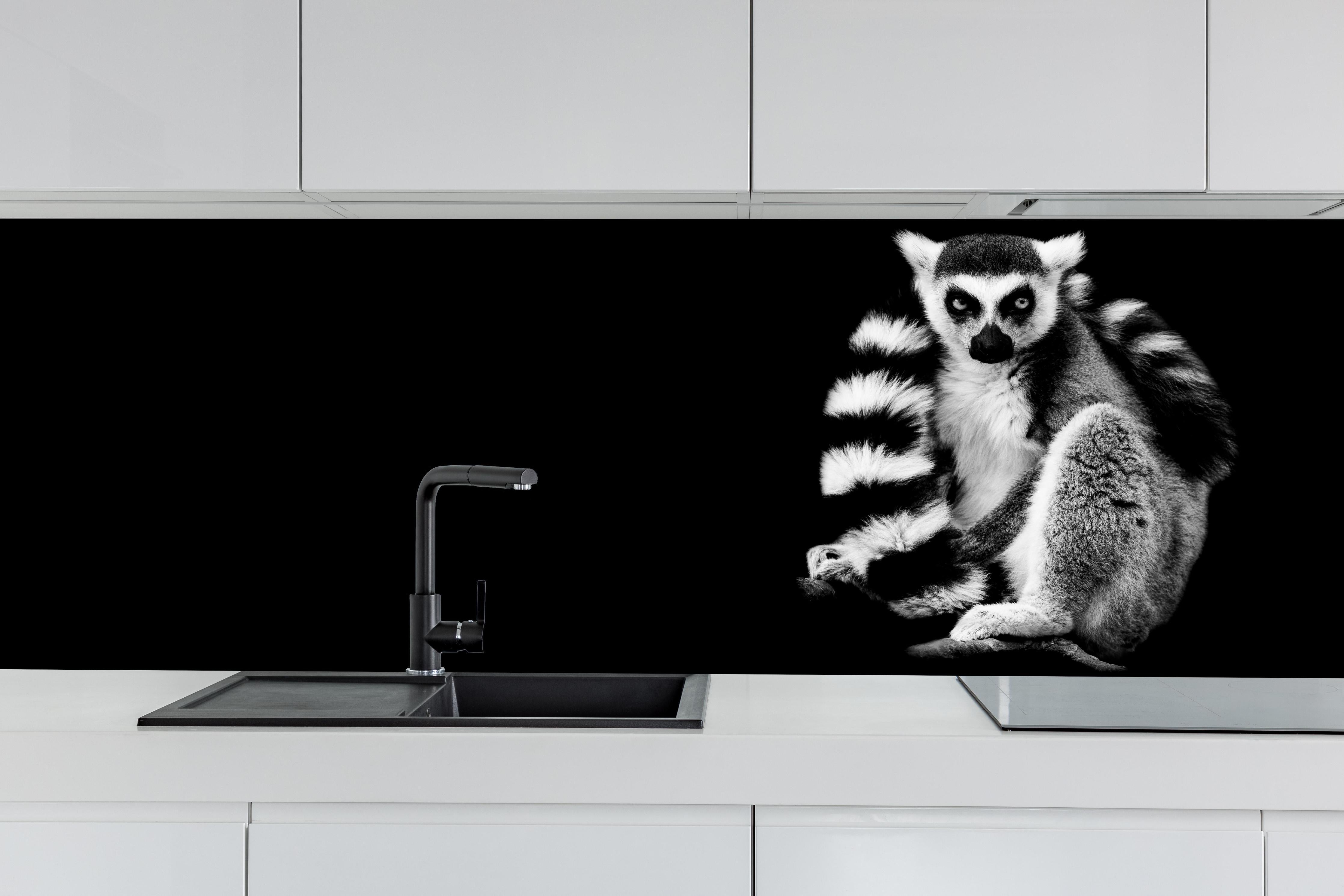 Küche - Lemur auf schwarzem Hintergrund hinter weißen Hochglanz-Küchenregalen und schwarzem Wasserhahn