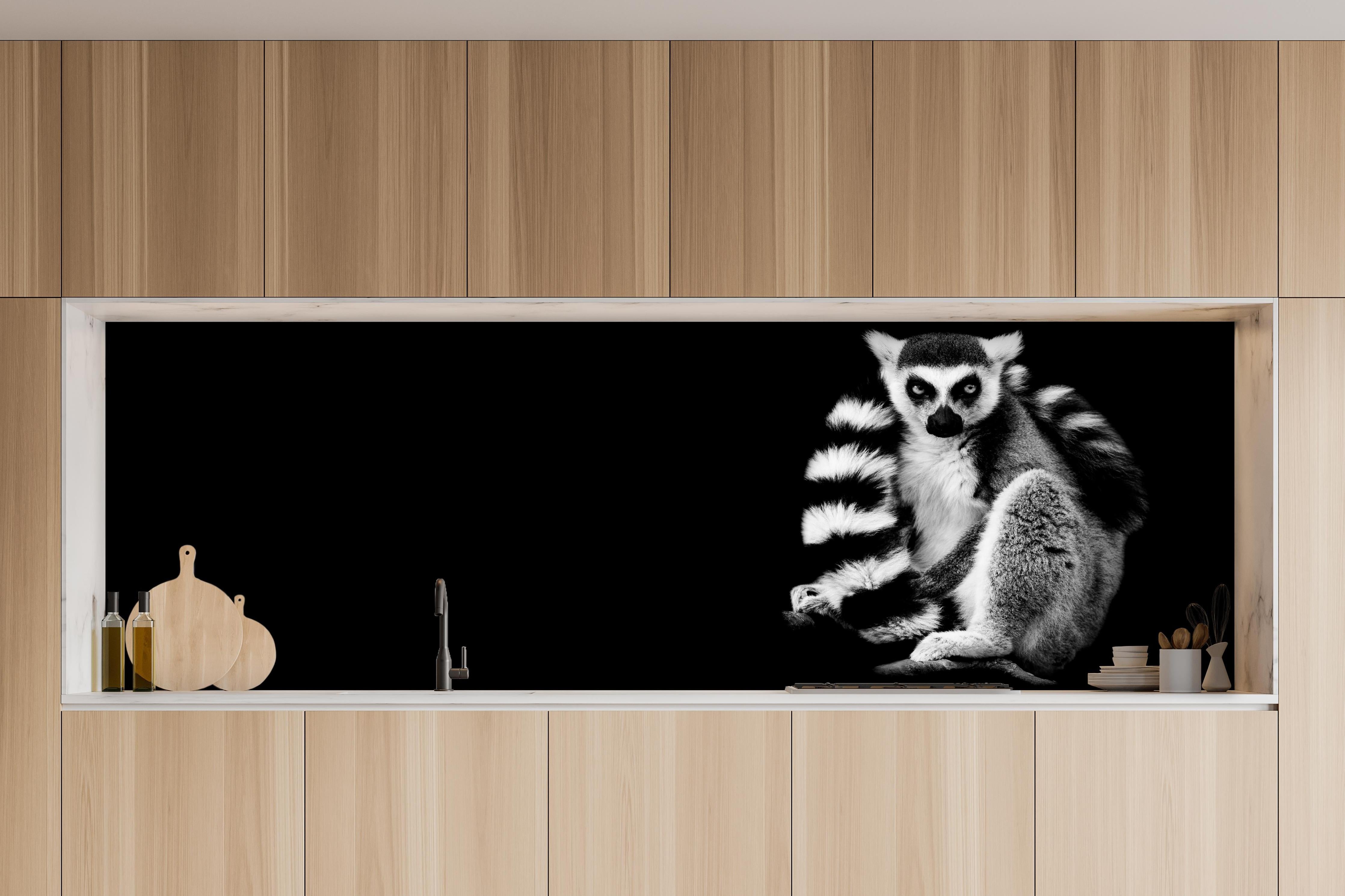 Küche - Lemur auf schwarzem Hintergrund hinter weißen Hochglanz-Küchenregalen und schwarzem Wasserhahn