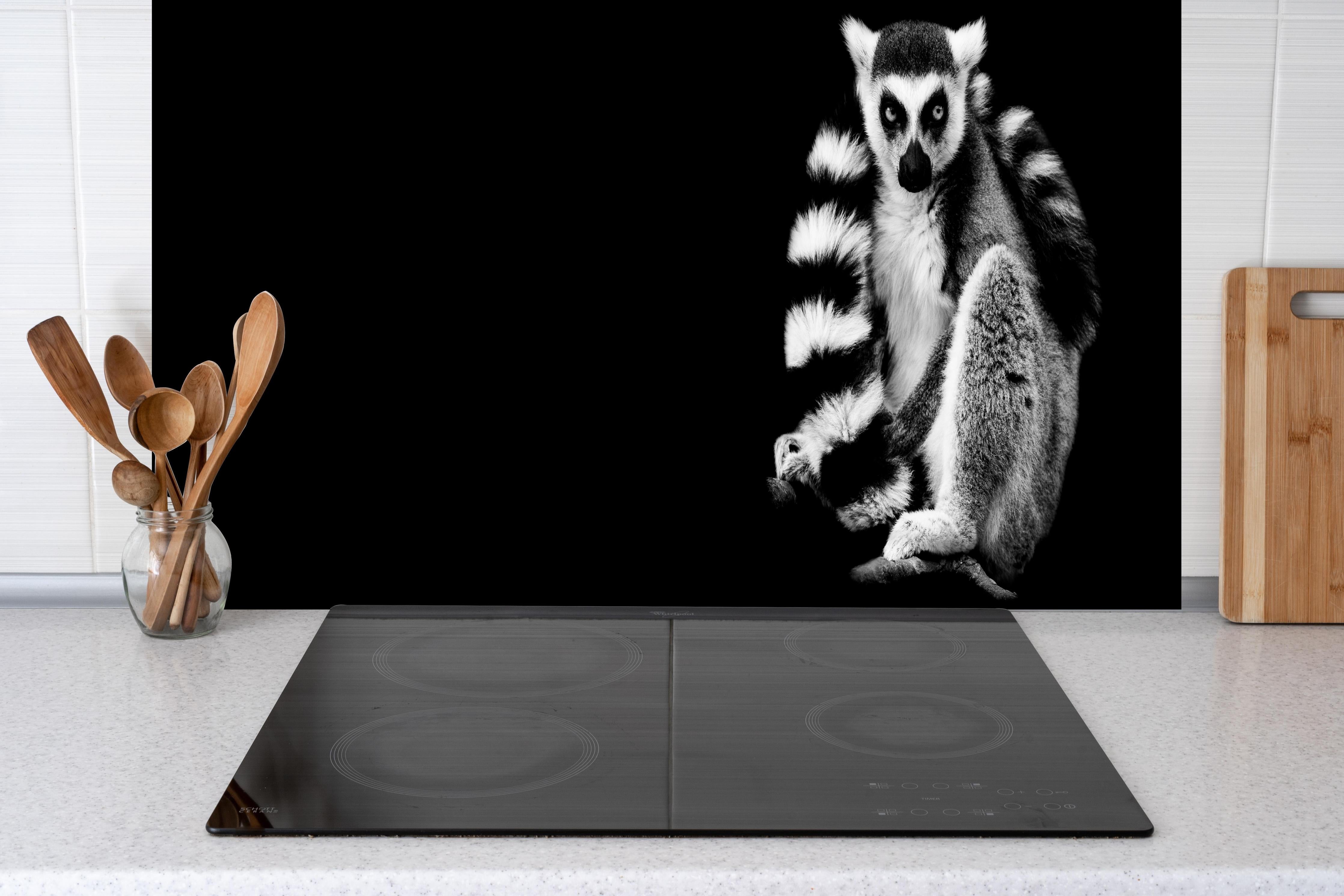 Küche - Lemur auf schwarzem Hintergrund hinter weißen Hochglanz-Küchenregalen und schwarzem Wasserhahn