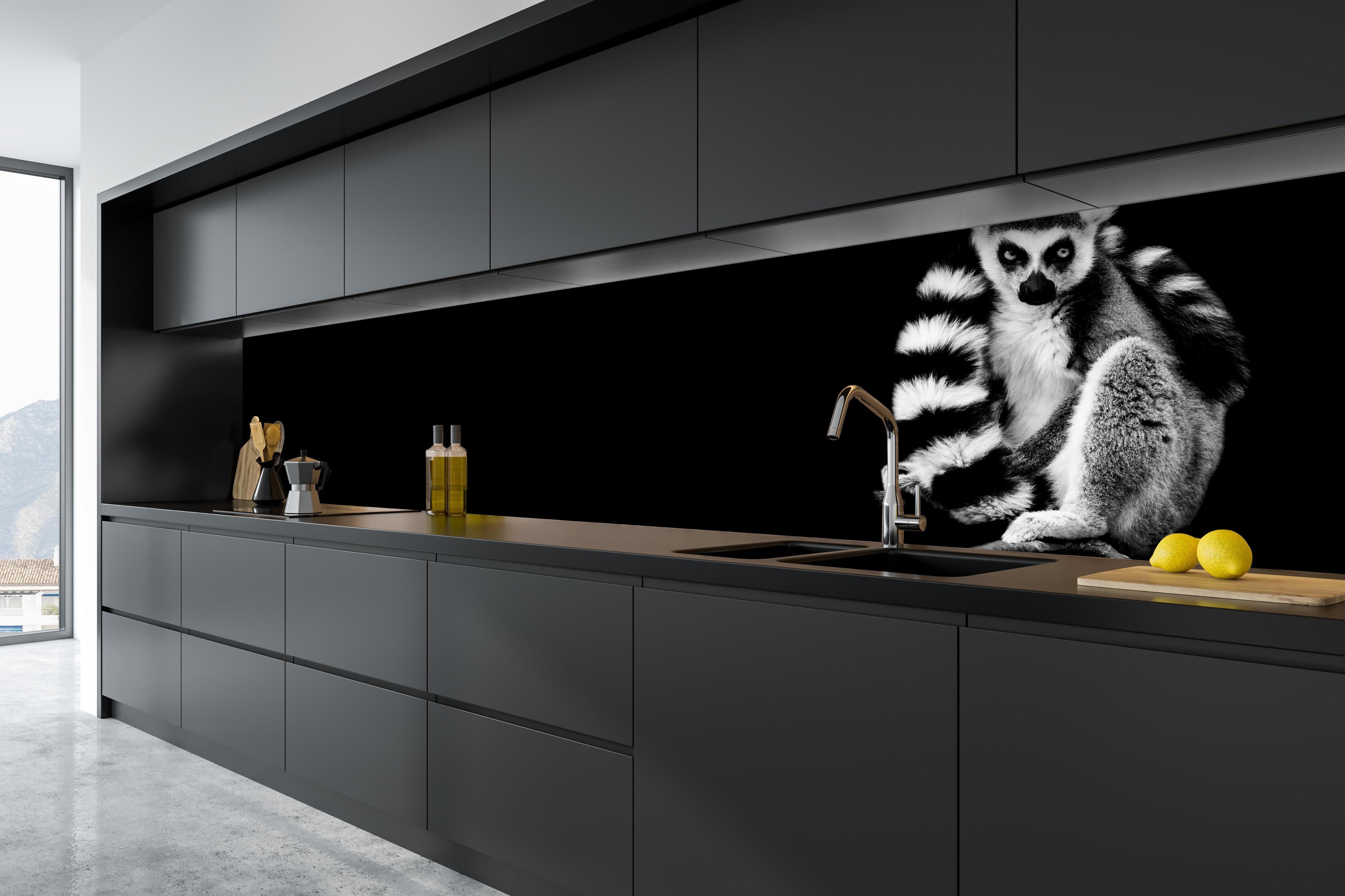 Küche - Lemur auf schwarzem Hintergrund hinter weißen Hochglanz-Küchenregalen und schwarzem Wasserhahn