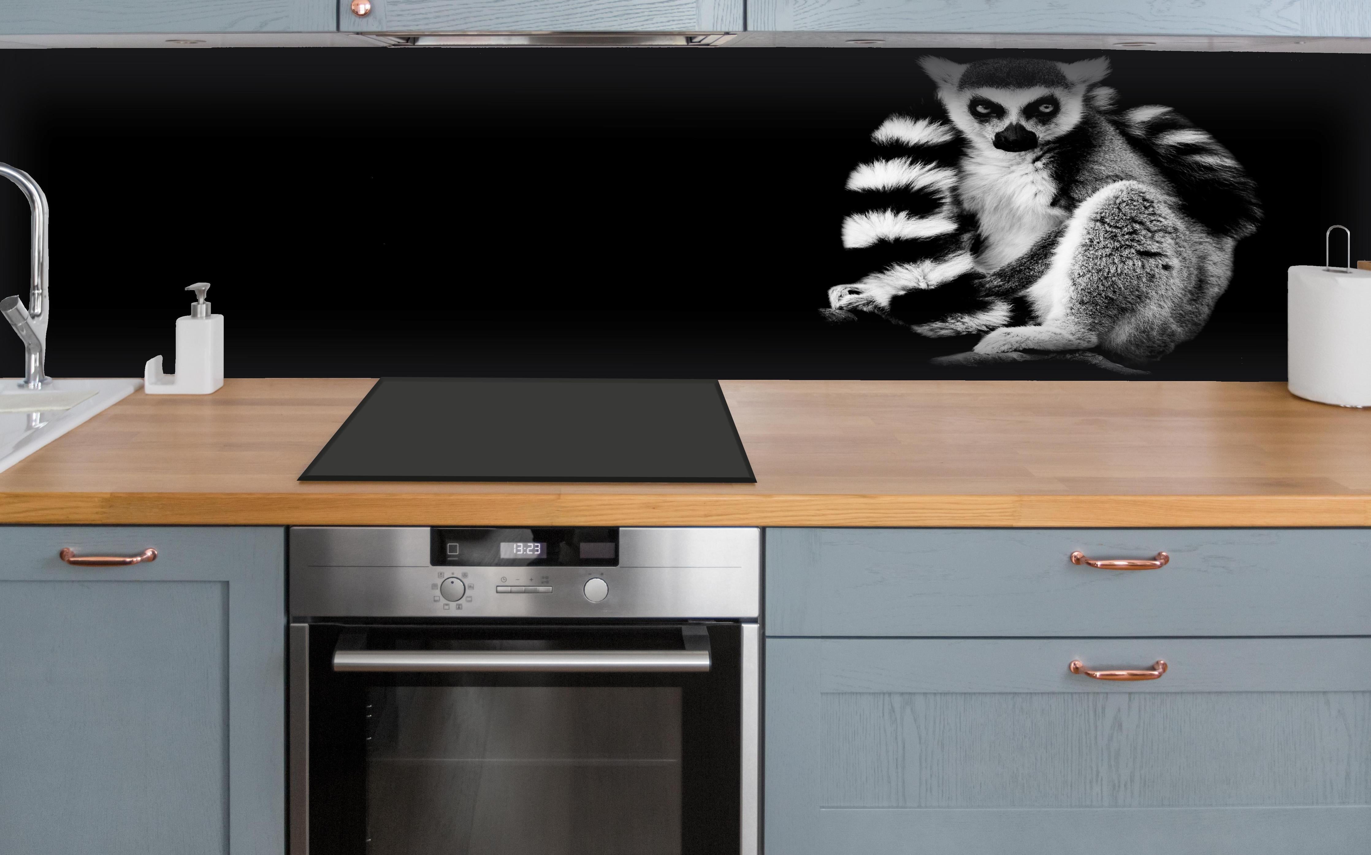 Küche - Lemur auf schwarzem Hintergrund hinter weißen Hochglanz-Küchenregalen und schwarzem Wasserhahn