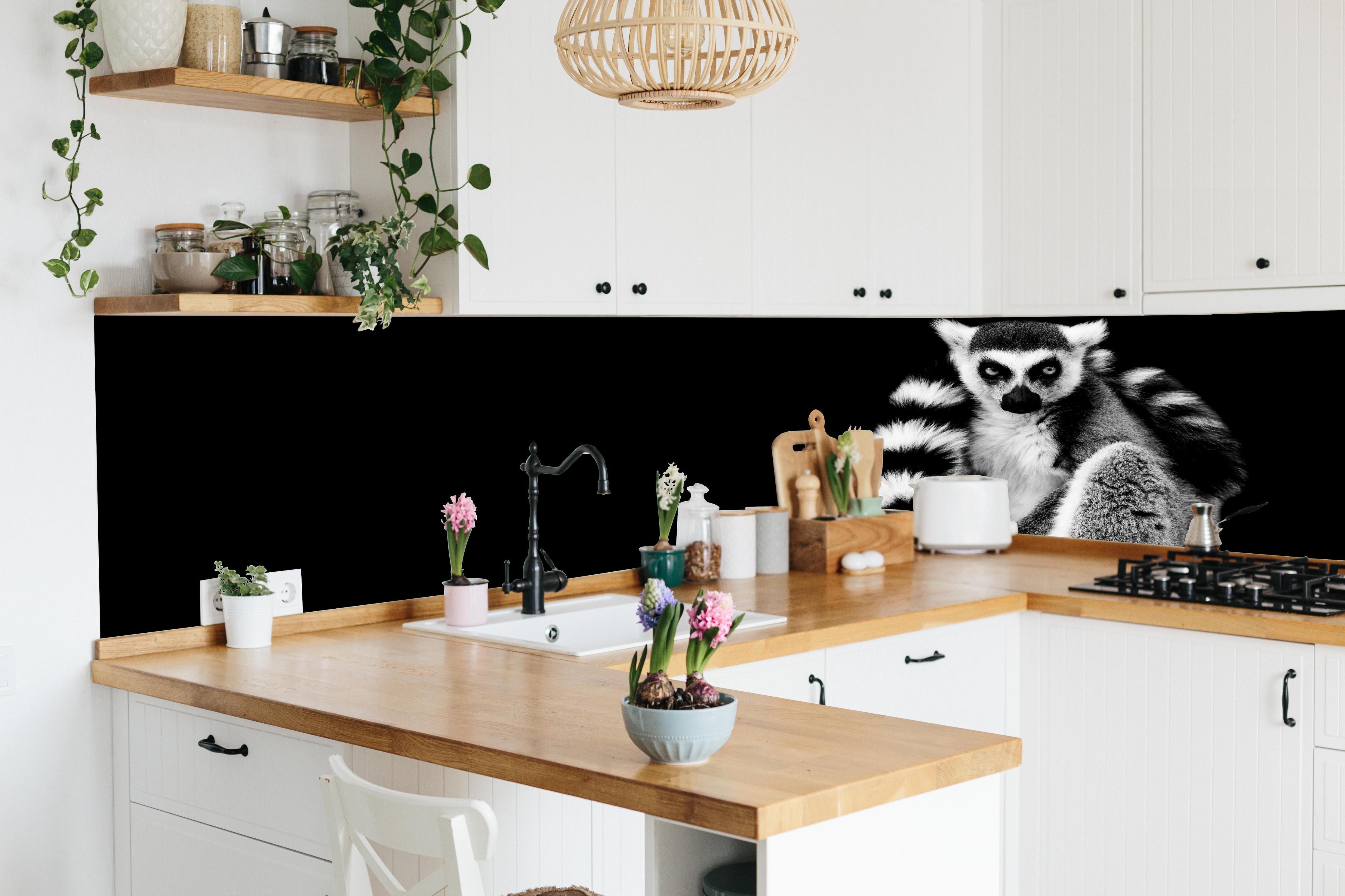 Küche - Lemur auf schwarzem Hintergrund hinter weißen Hochglanz-Küchenregalen und schwarzem Wasserhahn