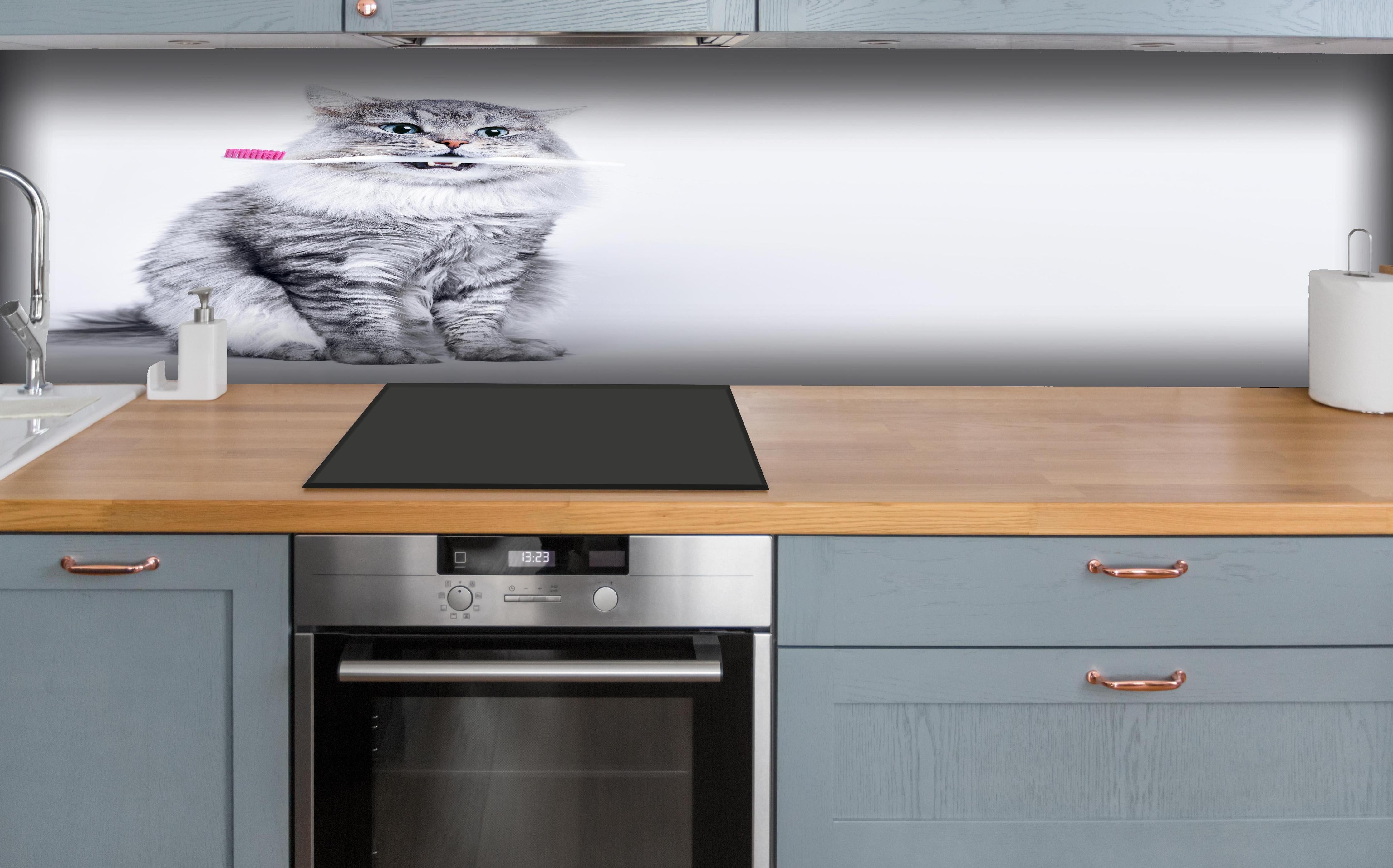 Küche - Lustige Katze mit Zahnbürste hinter weißen Hochglanz-Küchenregalen und schwarzem Wasserhahn