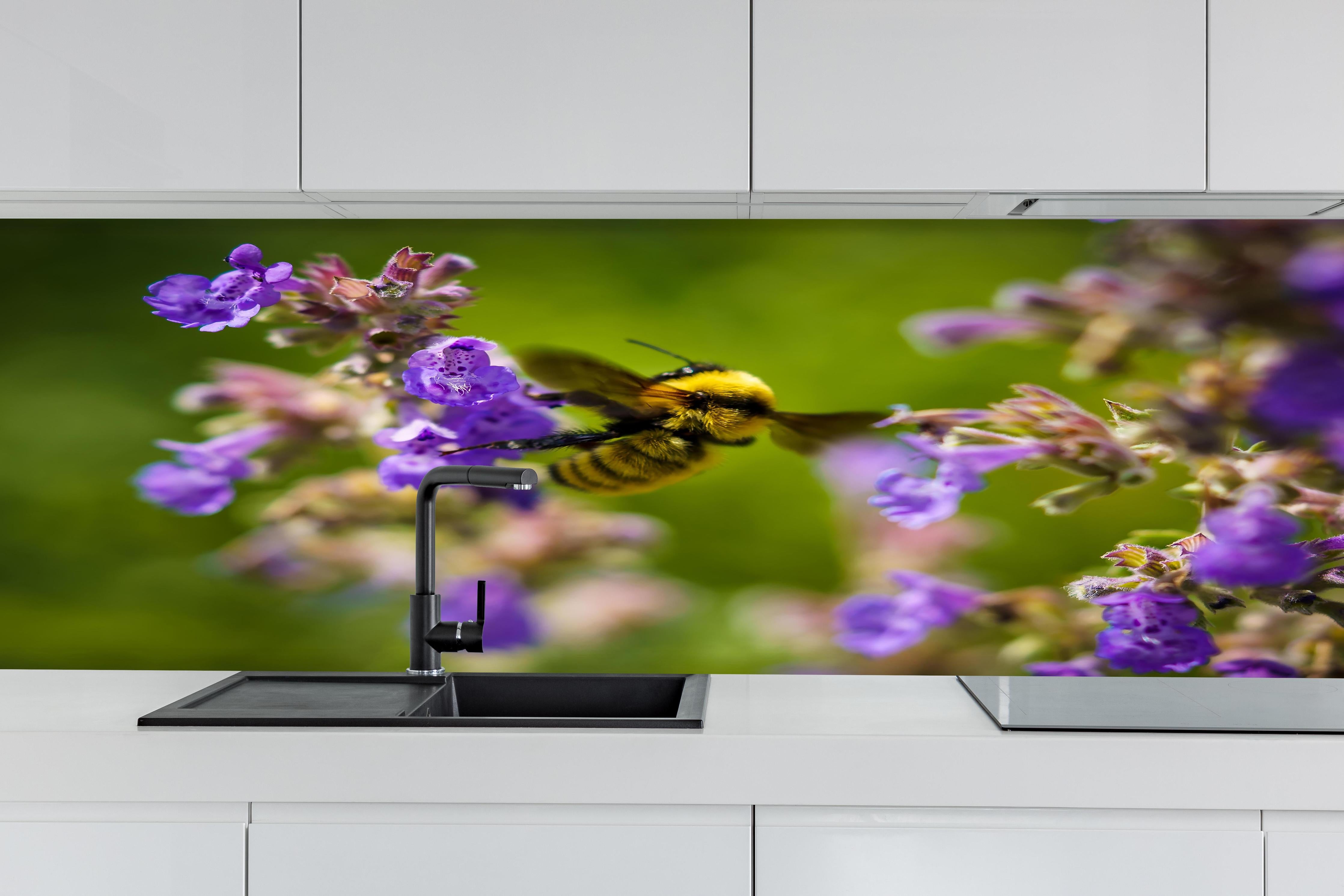 Küche - Nahaufnahme einer Honigbiene hinter weißen Hochglanz-Küchenregalen und schwarzem Wasserhahn