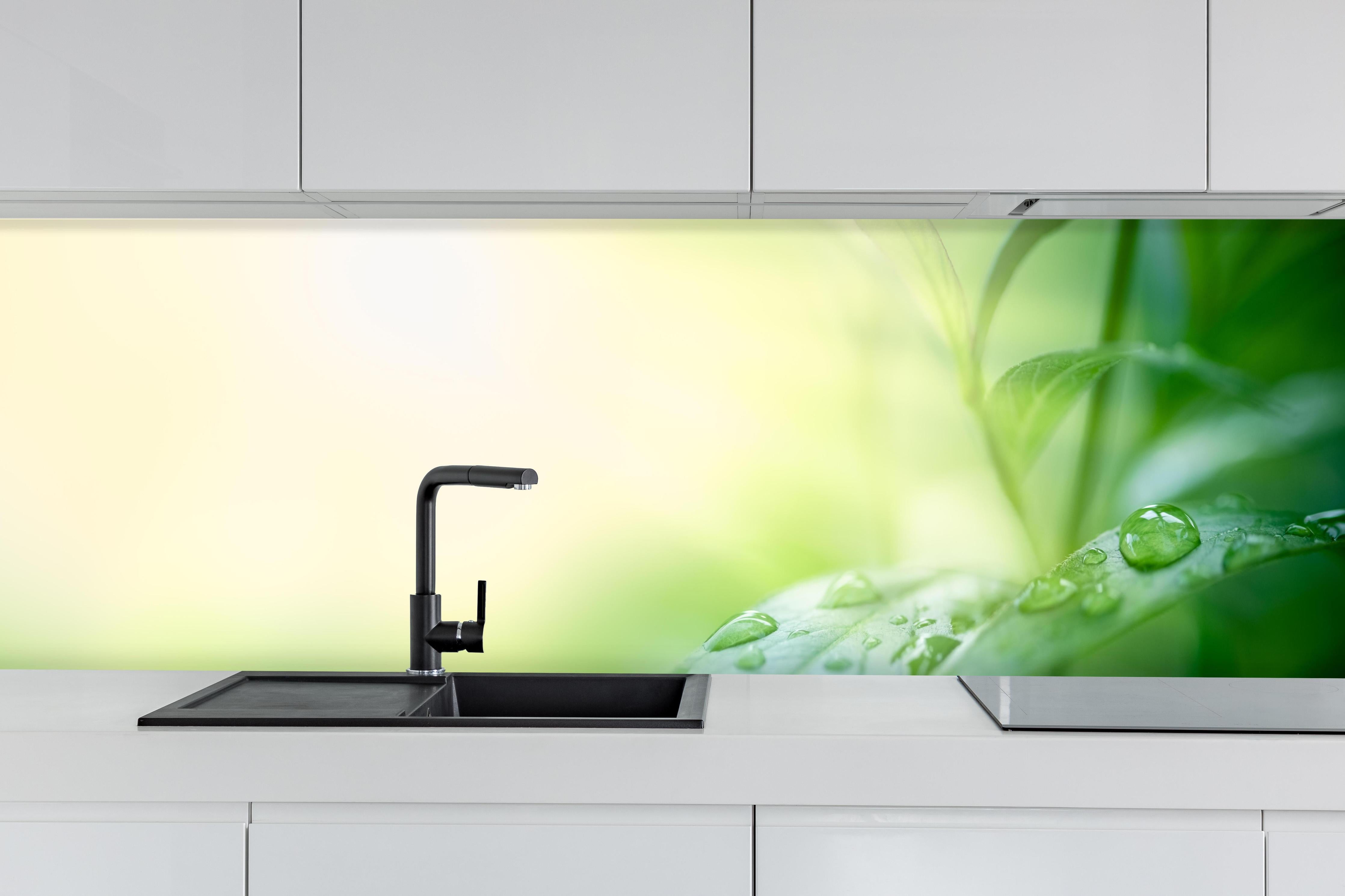 Küche - Natur Grünes Blatt mit Regentropfen hinter weißen Hochglanz-Küchenregalen und schwarzem Wasserhahn