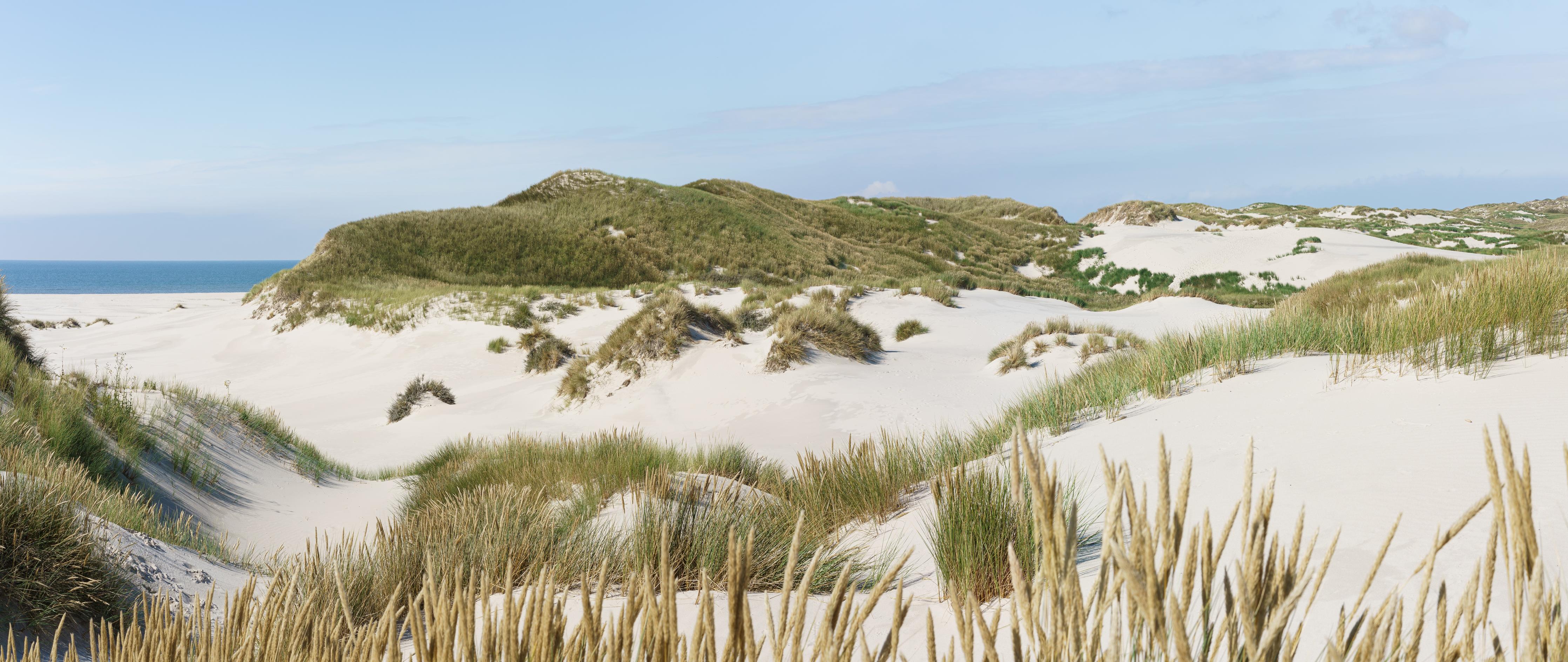 Küchenrückwand-Naturbelassene Sanddünen mit grasbewachsenen Hügeln und Meerblick