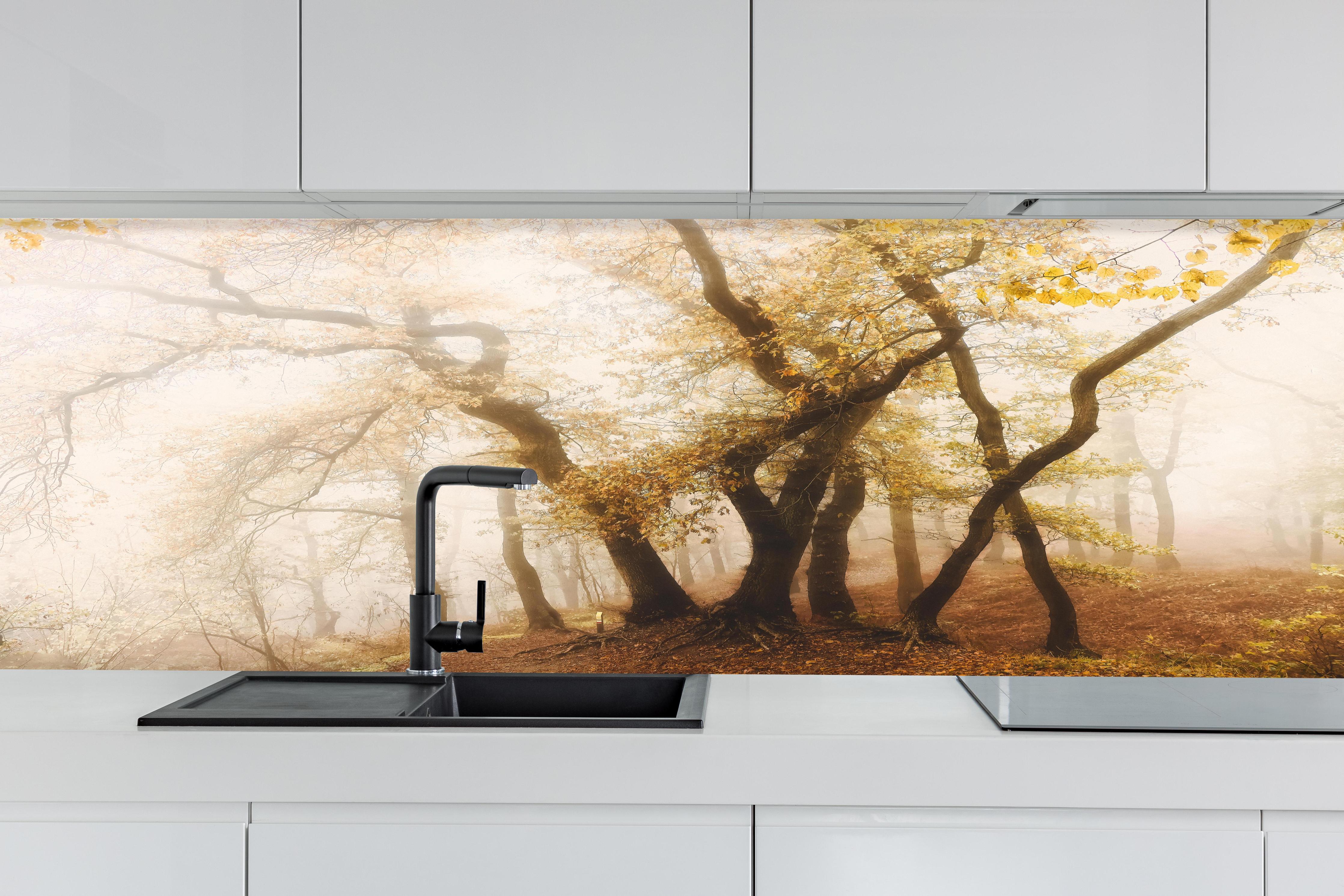 Küche - Nebeliger Wald im Herbst hinter weißen Hochglanz-Küchenregalen und schwarzem Wasserhahn