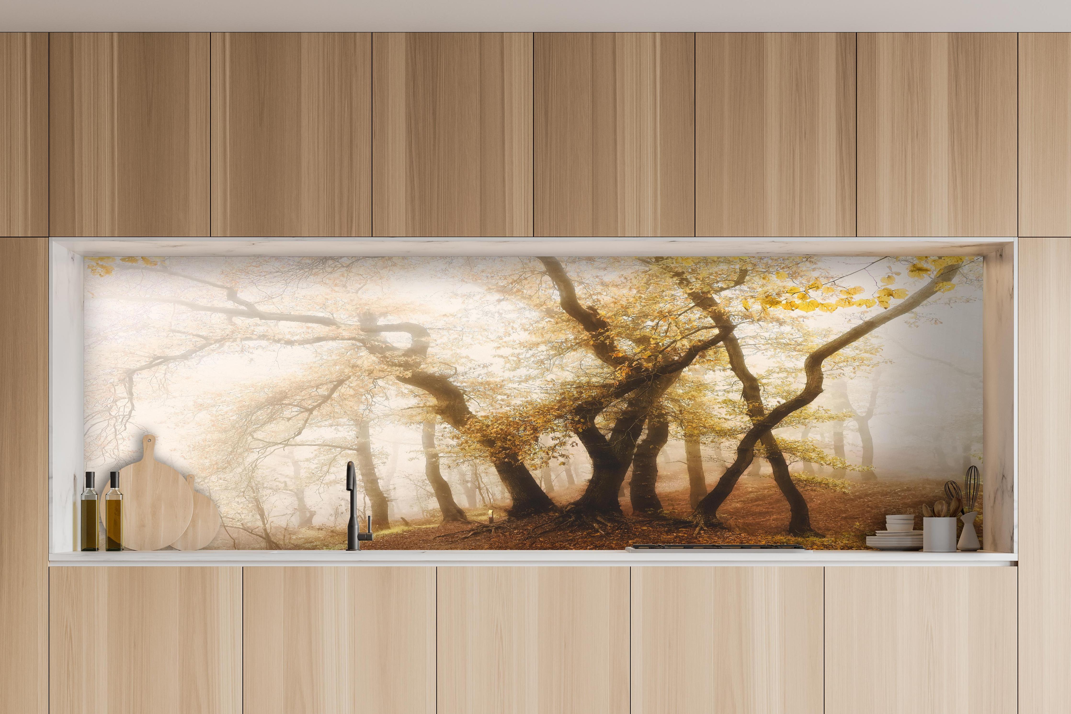 Küche - Nebeliger Wald im Herbst hinter weißen Hochglanz-Küchenregalen und schwarzem Wasserhahn