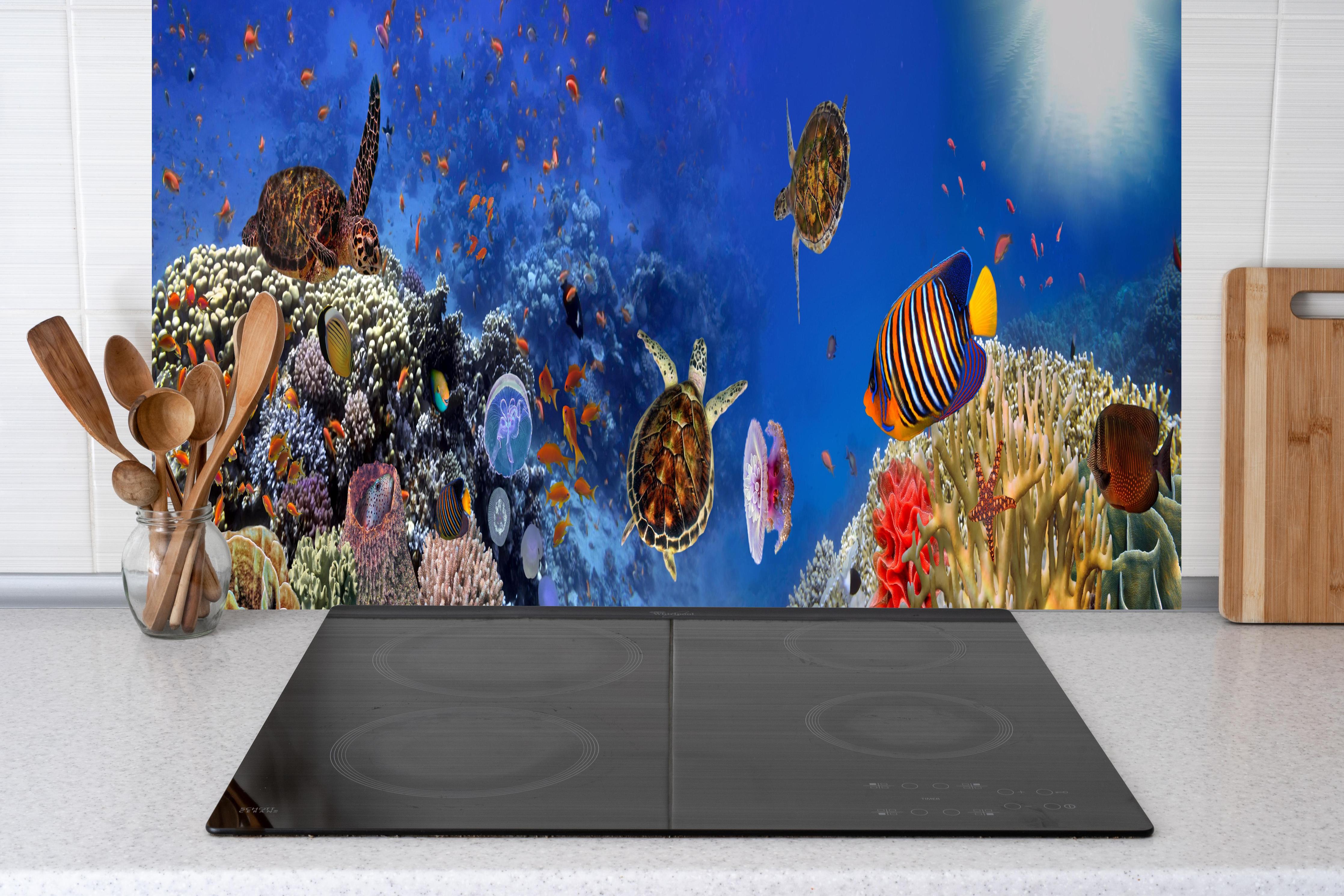 Küche - Panorama: Korallenriff mit Meerestieren hinter weißen Hochglanz-Küchenregalen und schwarzem Wasserhahn