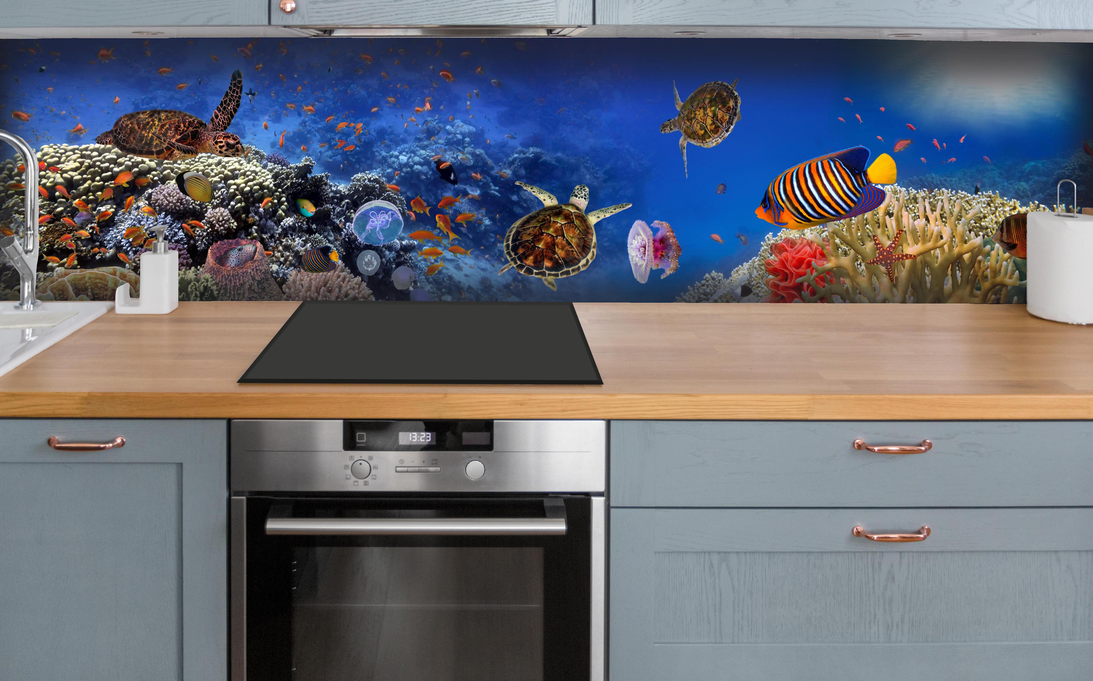 Küche - Panorama: Korallenriff mit Meerestieren hinter weißen Hochglanz-Küchenregalen und schwarzem Wasserhahn