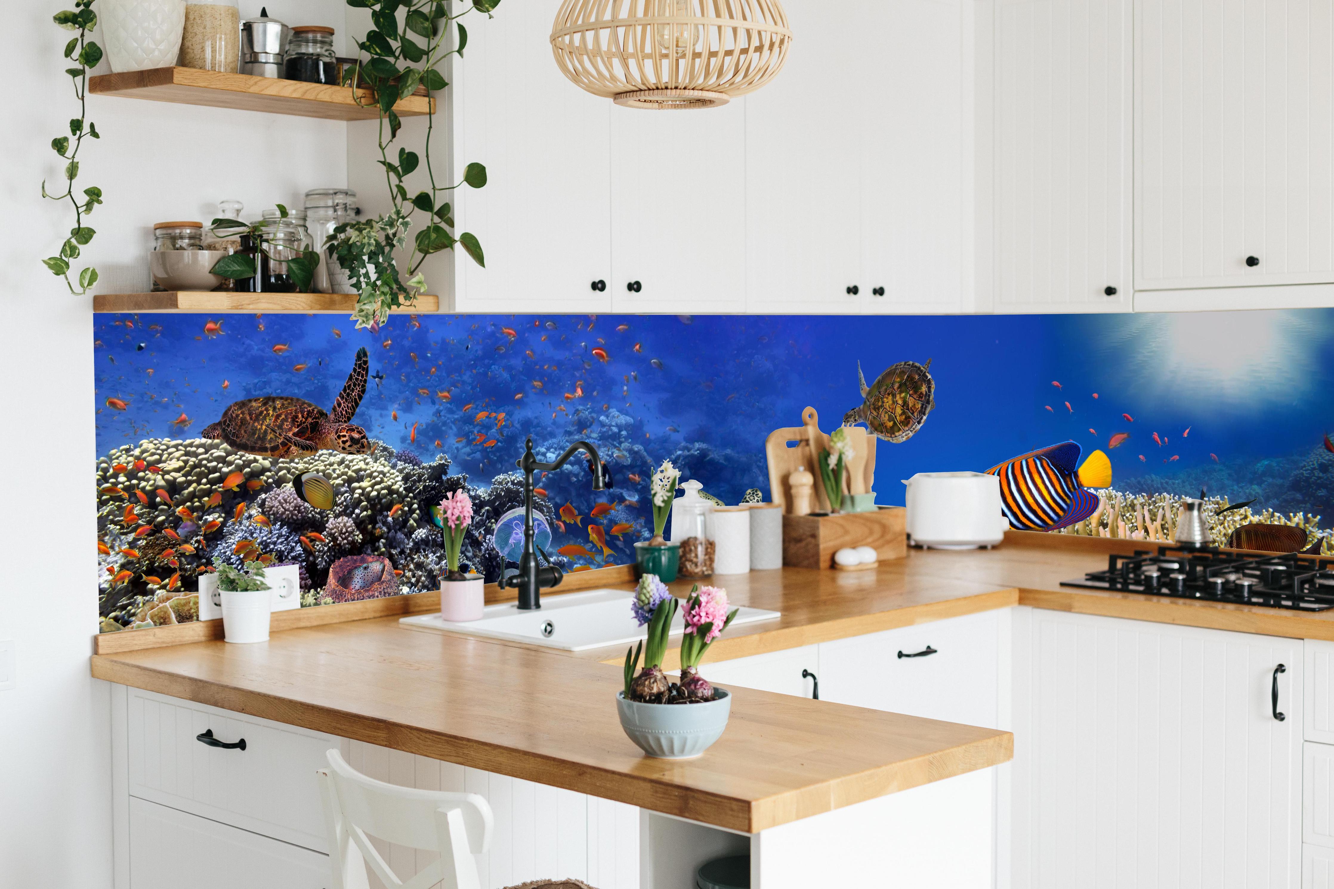 Küche - Panorama: Korallenriff mit Meerestieren hinter weißen Hochglanz-Küchenregalen und schwarzem Wasserhahn