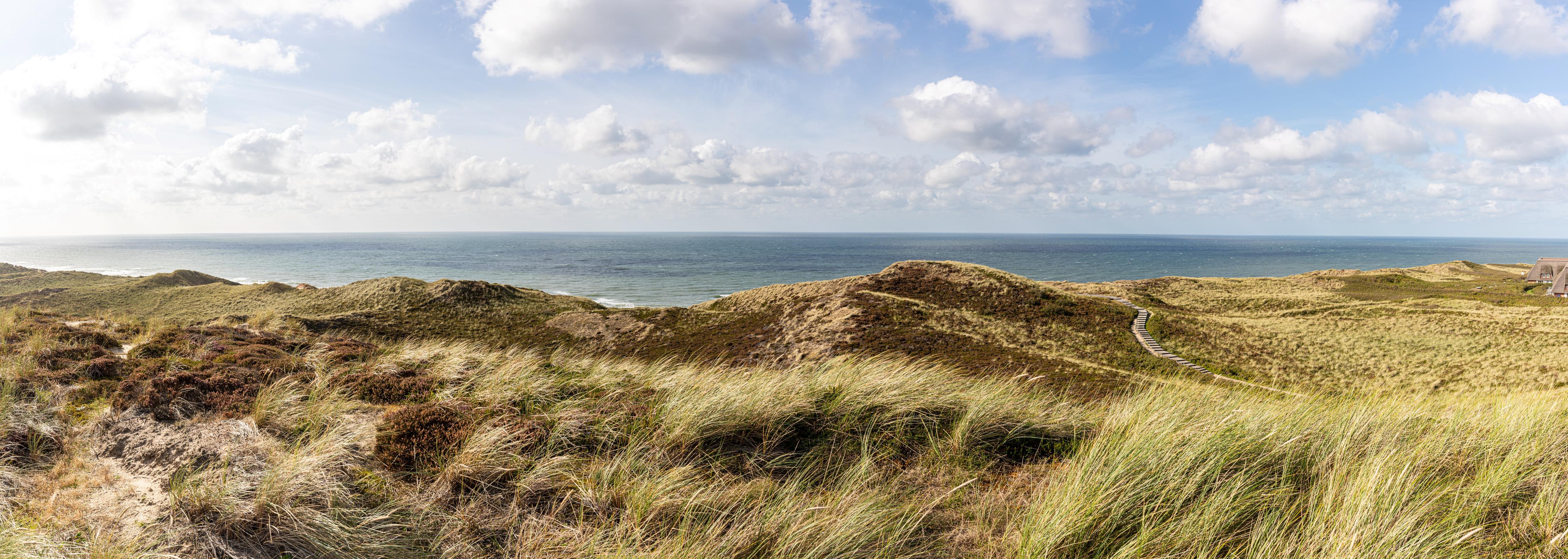 Küchenrückwand-Panoramaaussicht über sanfte Hügel und die Küste am Meer