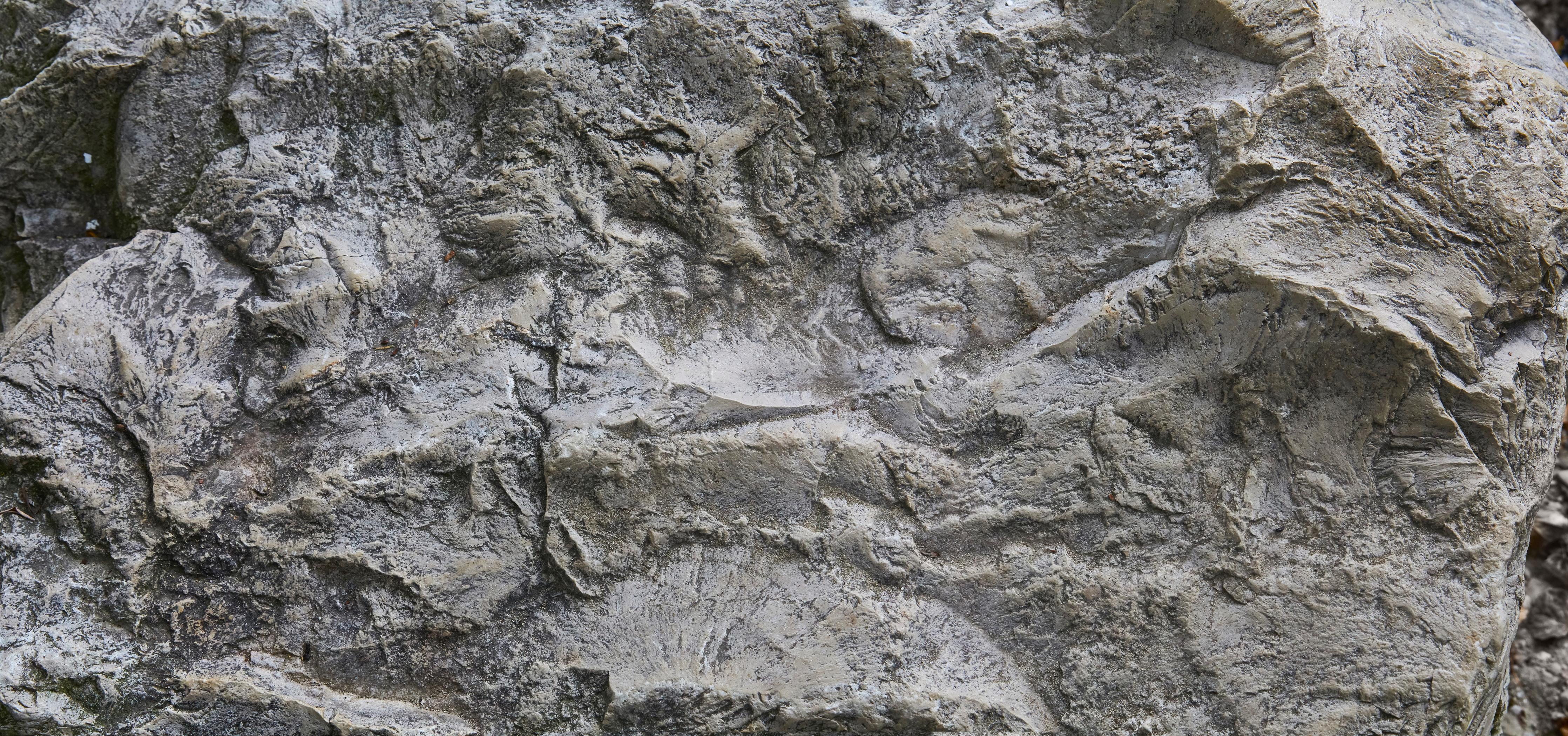 Küchenrückwand-Schöne Felsstruktur - Granit