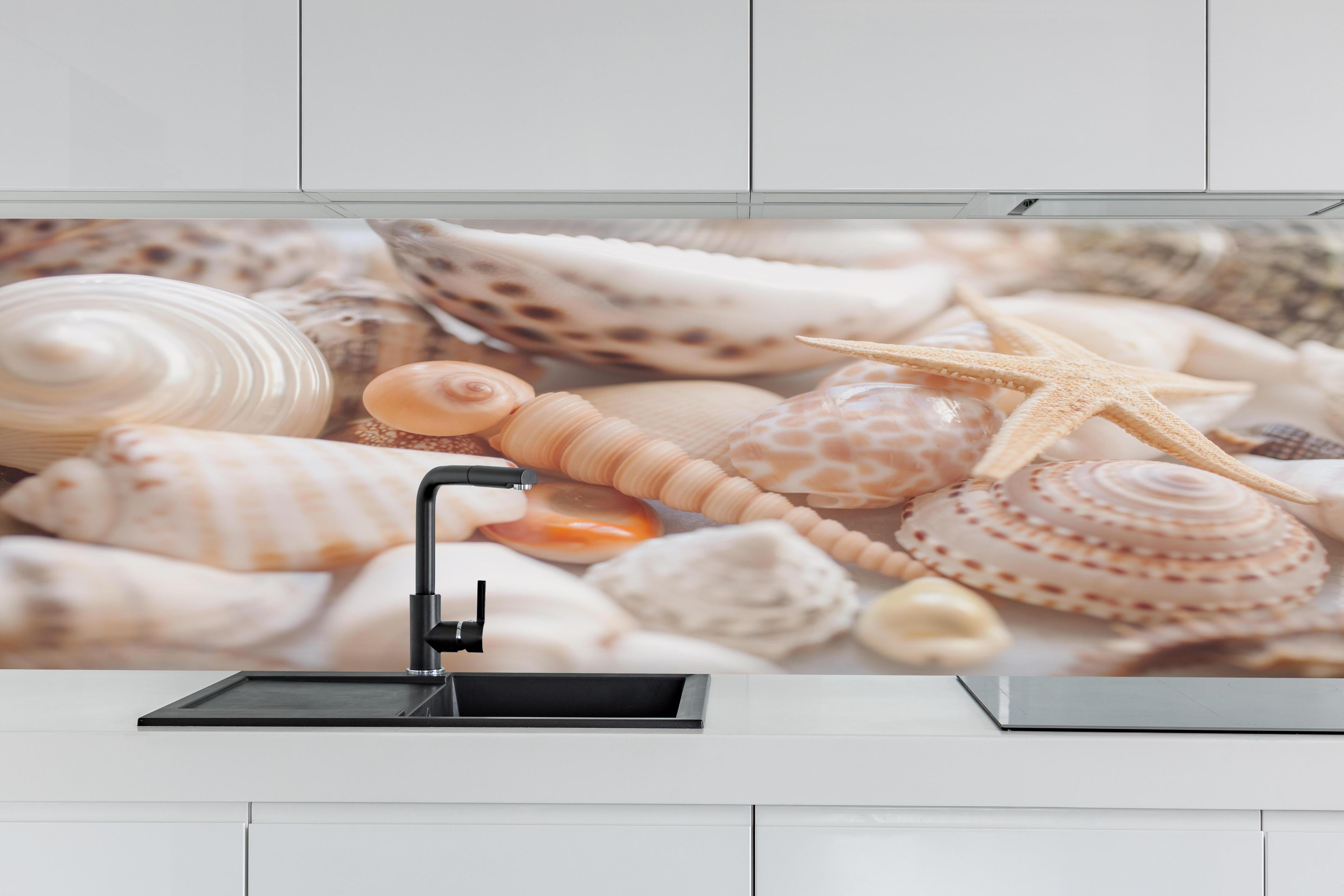 Küche - Schöne Muschelsammlung hinter weißen Hochglanz-Küchenregalen und schwarzem Wasserhahn