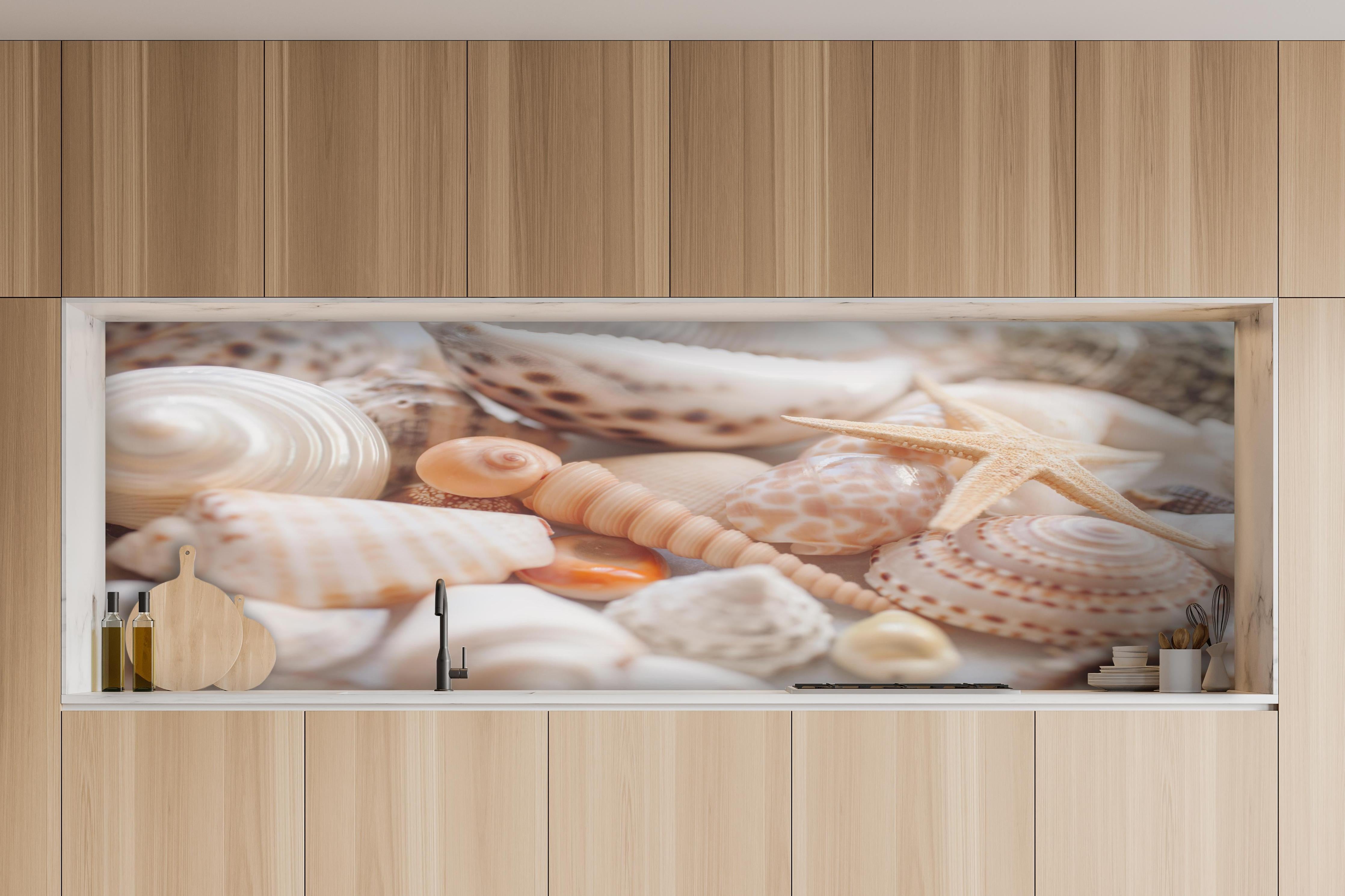 Küche - Schöne Muschelsammlung hinter weißen Hochglanz-Küchenregalen und schwarzem Wasserhahn