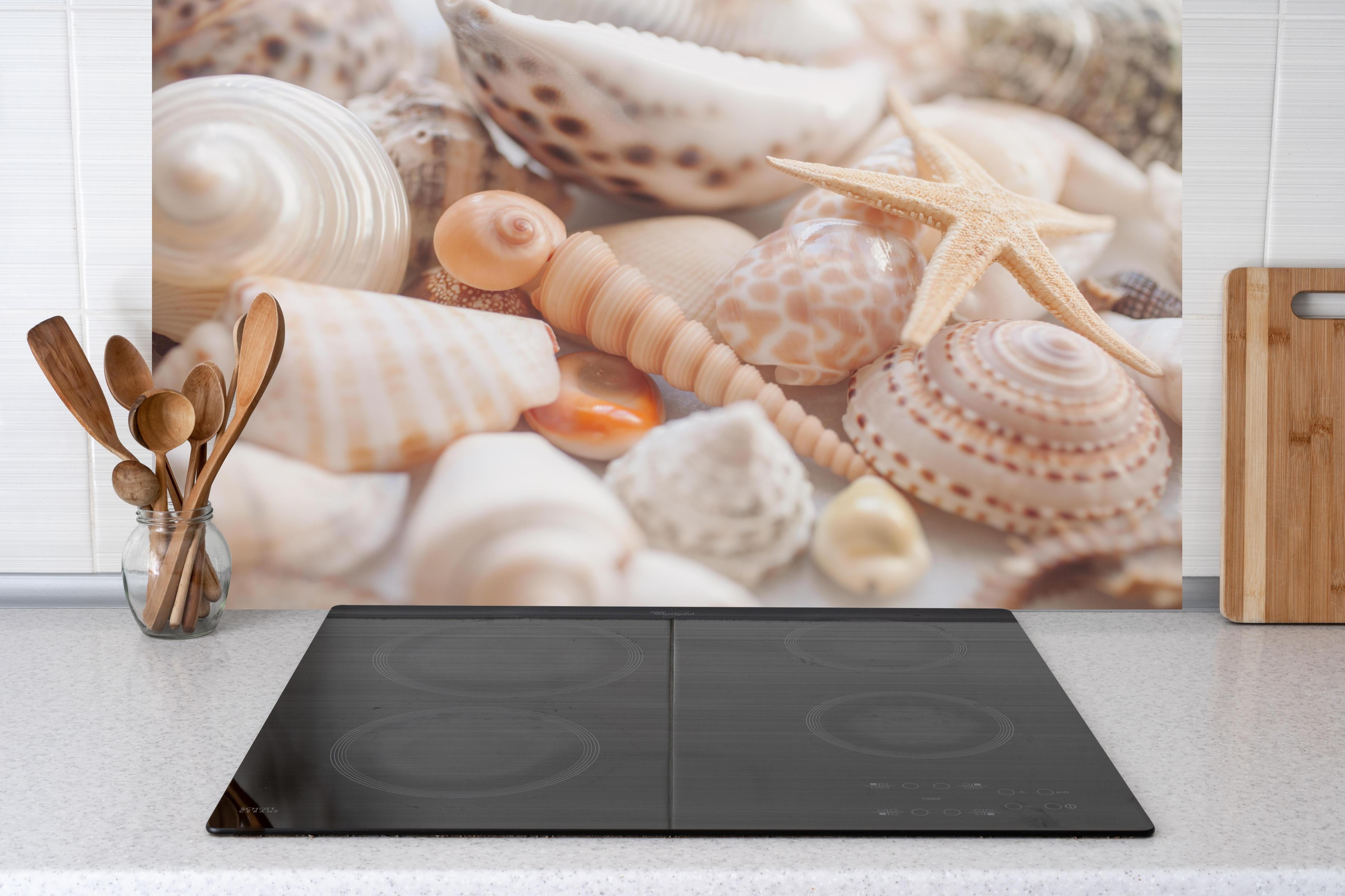 Küche - Schöne Muschelsammlung hinter weißen Hochglanz-Küchenregalen und schwarzem Wasserhahn