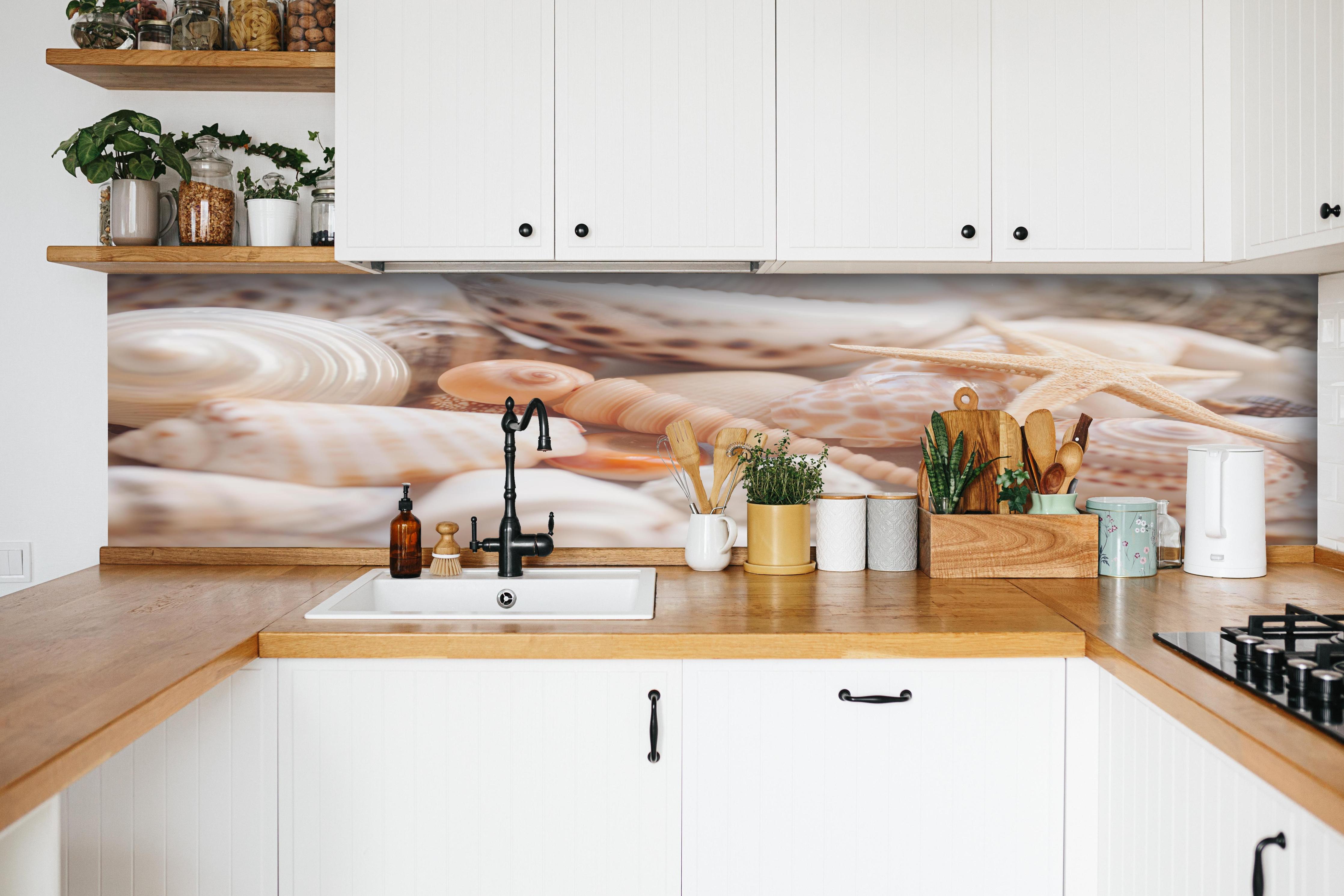 Küche - Schöne Muschelsammlung hinter weißen Hochglanz-Küchenregalen und schwarzem Wasserhahn