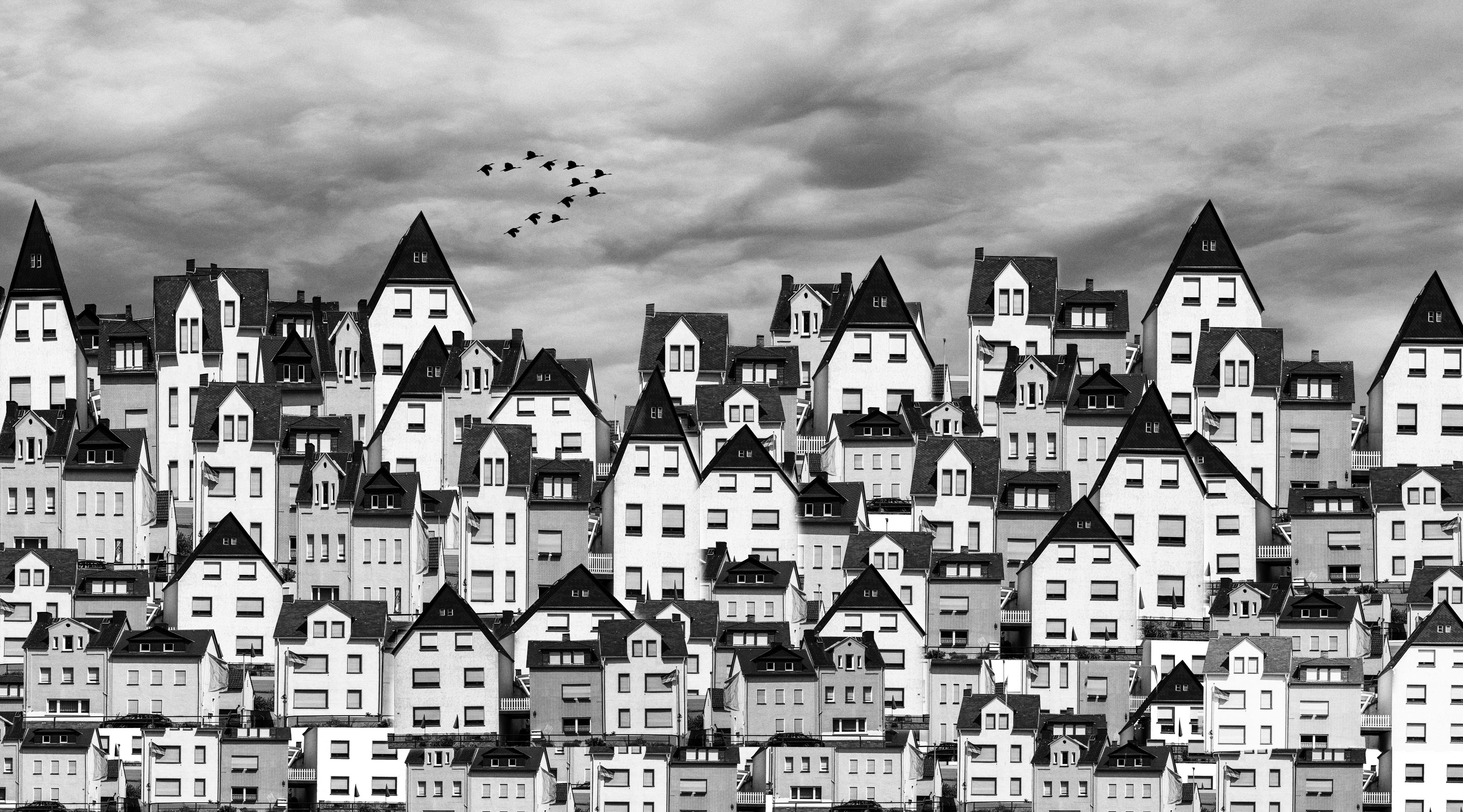 Küchenrückwand-Schwarz-weiße Dachlandschaft mit Vögeln