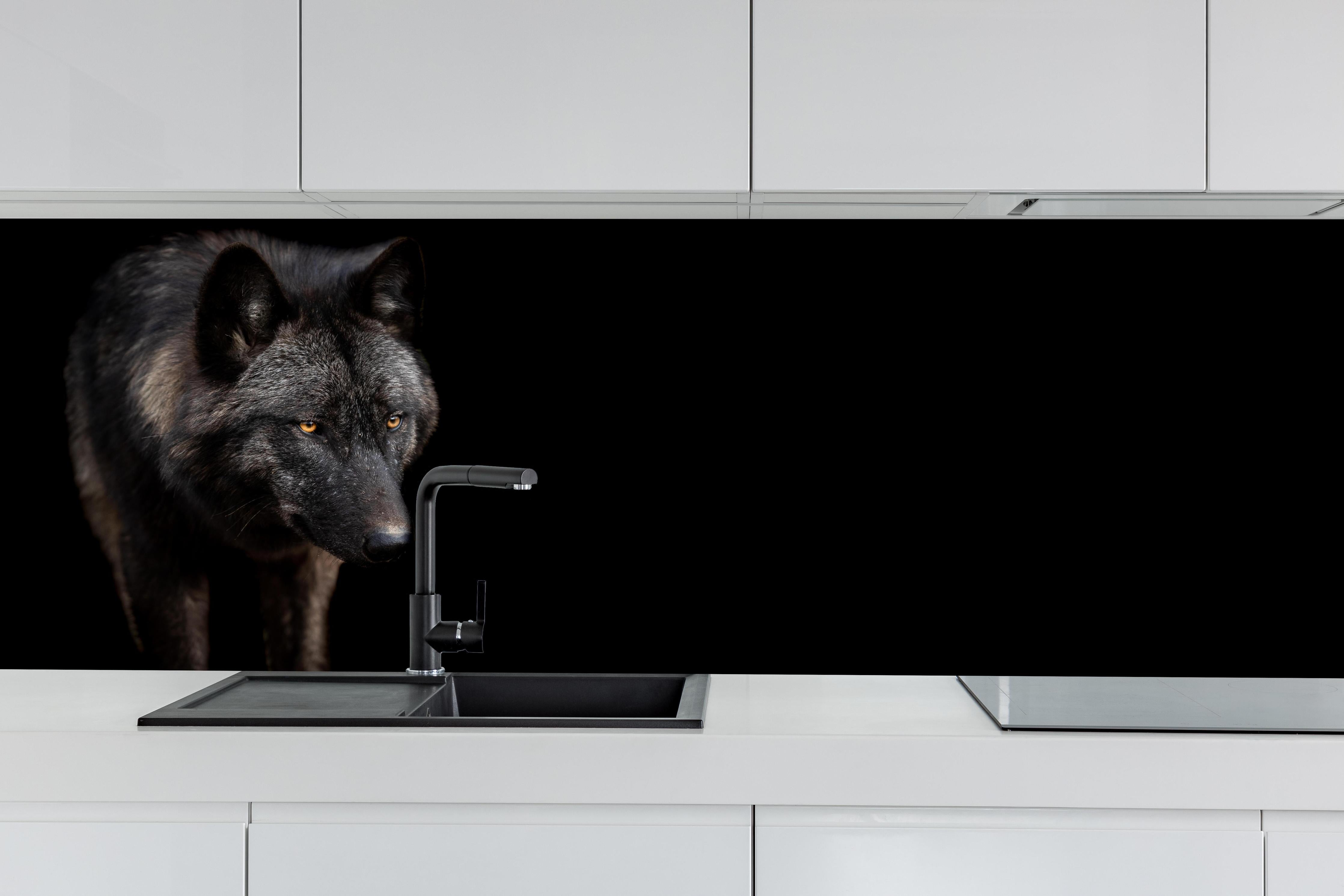 Küche - Schwarzer Wolf auf schwarzem Hintergrund hinter weißen Hochglanz-Küchenregalen und schwarzem Wasserhahn