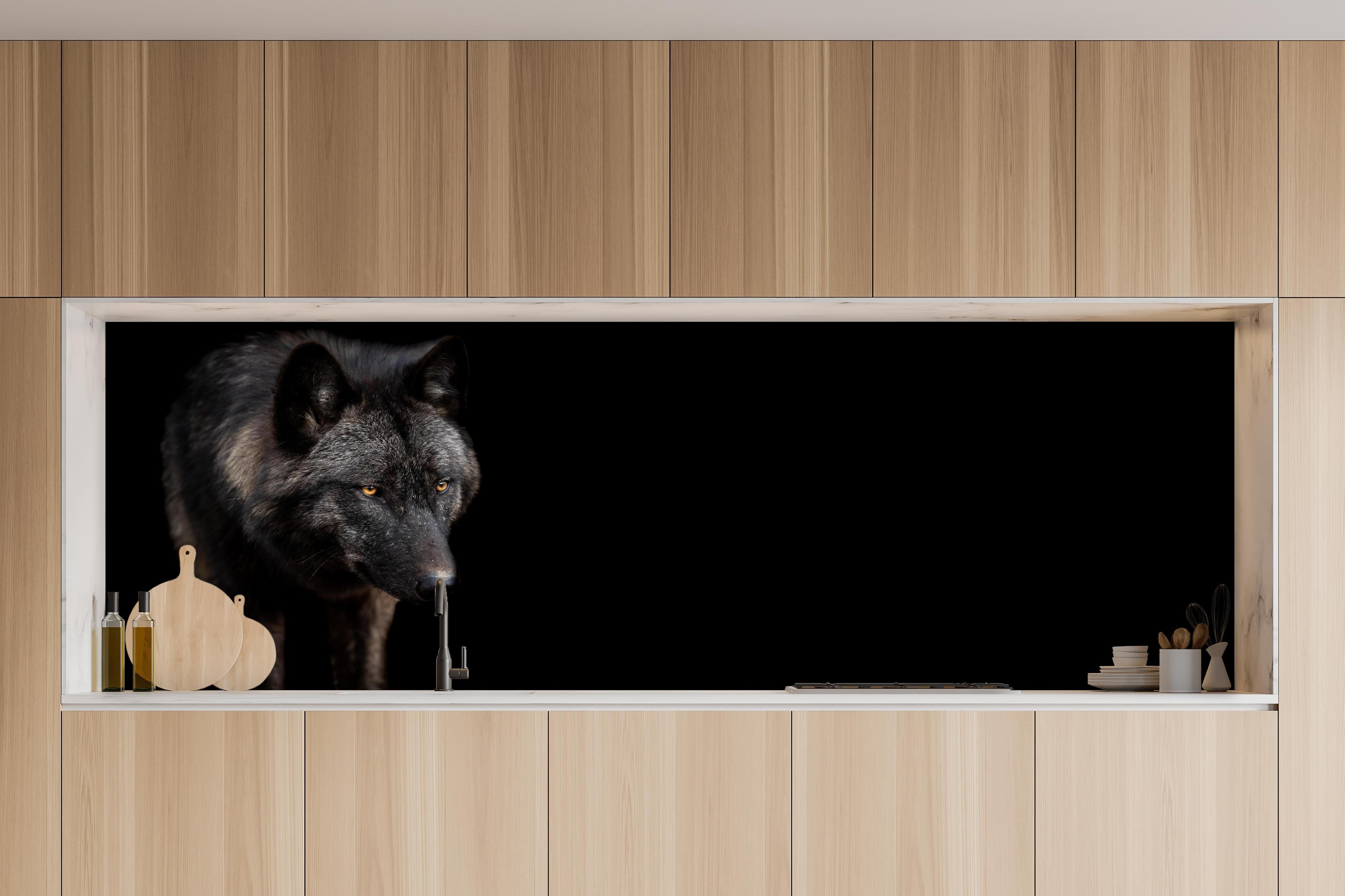 Küche - Schwarzer Wolf auf schwarzem Hintergrund hinter weißen Hochglanz-Küchenregalen und schwarzem Wasserhahn