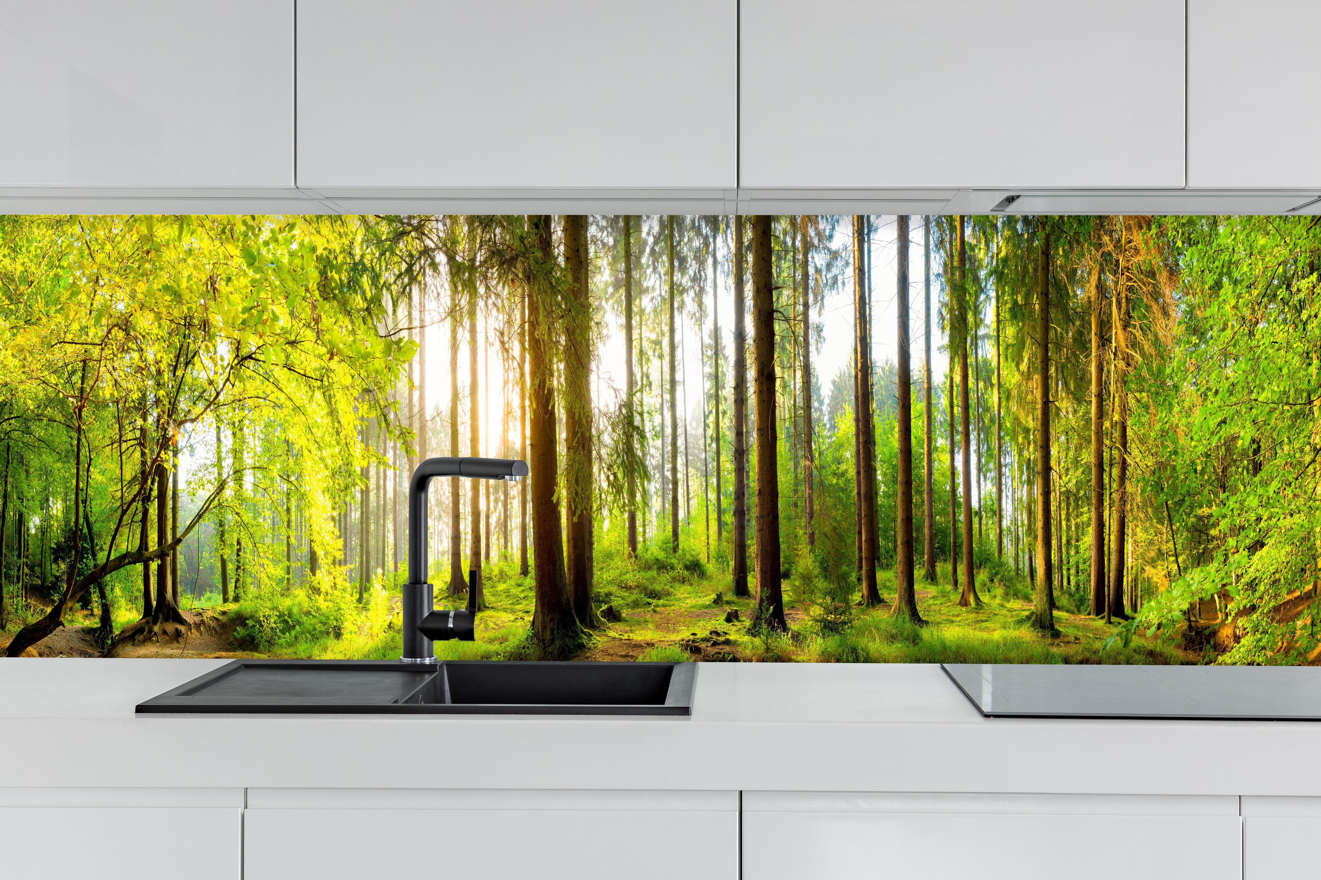 Küche - Sonnenlicht durchfluteter Wald Leinwandbild hinter weißen Hochglanz-Küchenregalen und schwarzem Wasserhahn