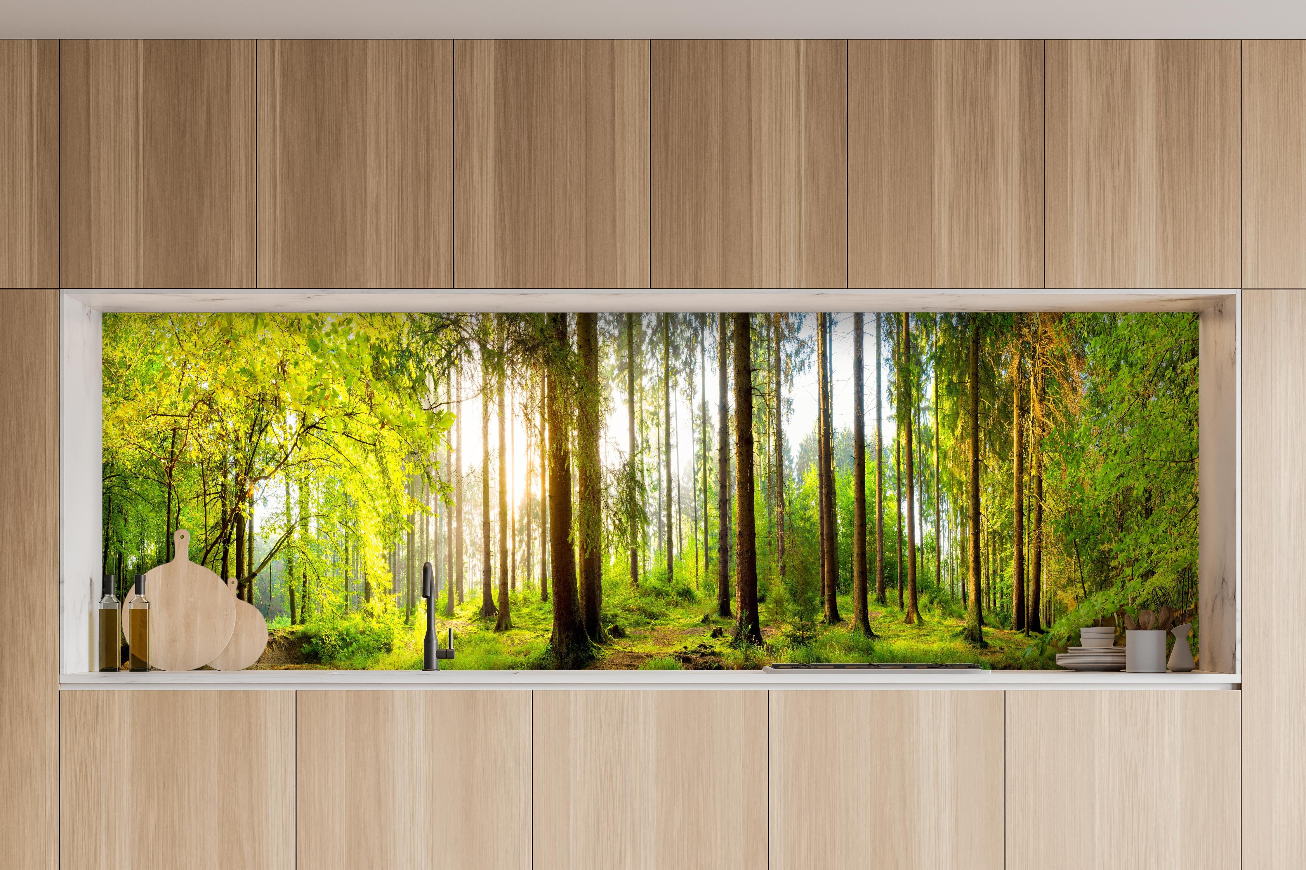 Küche - Sonnenlicht durchfluteter Wald Leinwandbild hinter weißen Hochglanz-Küchenregalen und schwarzem Wasserhahn