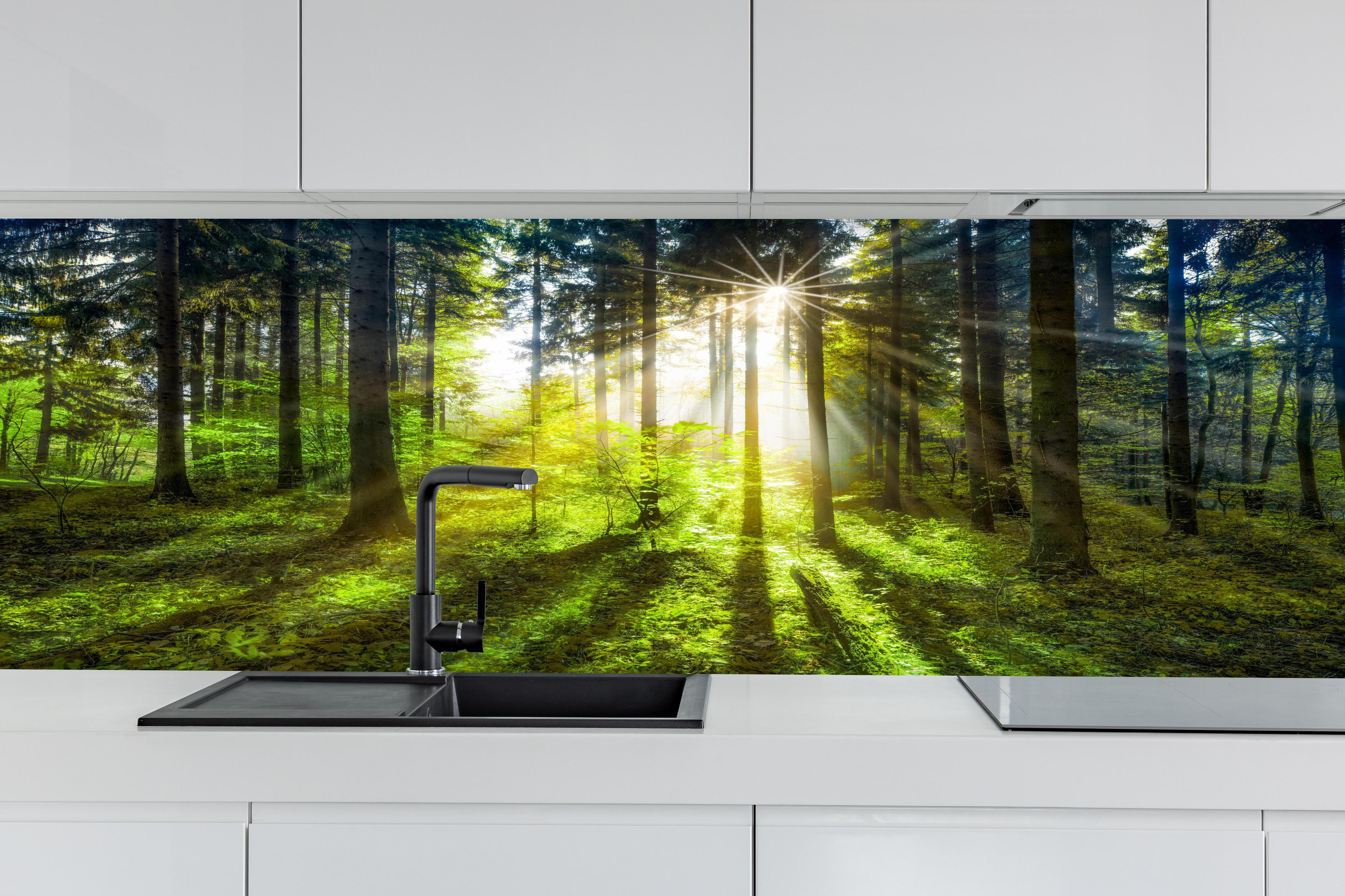 Küche - Sonnenstrahlen im lebendigem Wald hinter weißen Hochglanz-Küchenregalen und schwarzem Wasserhahn