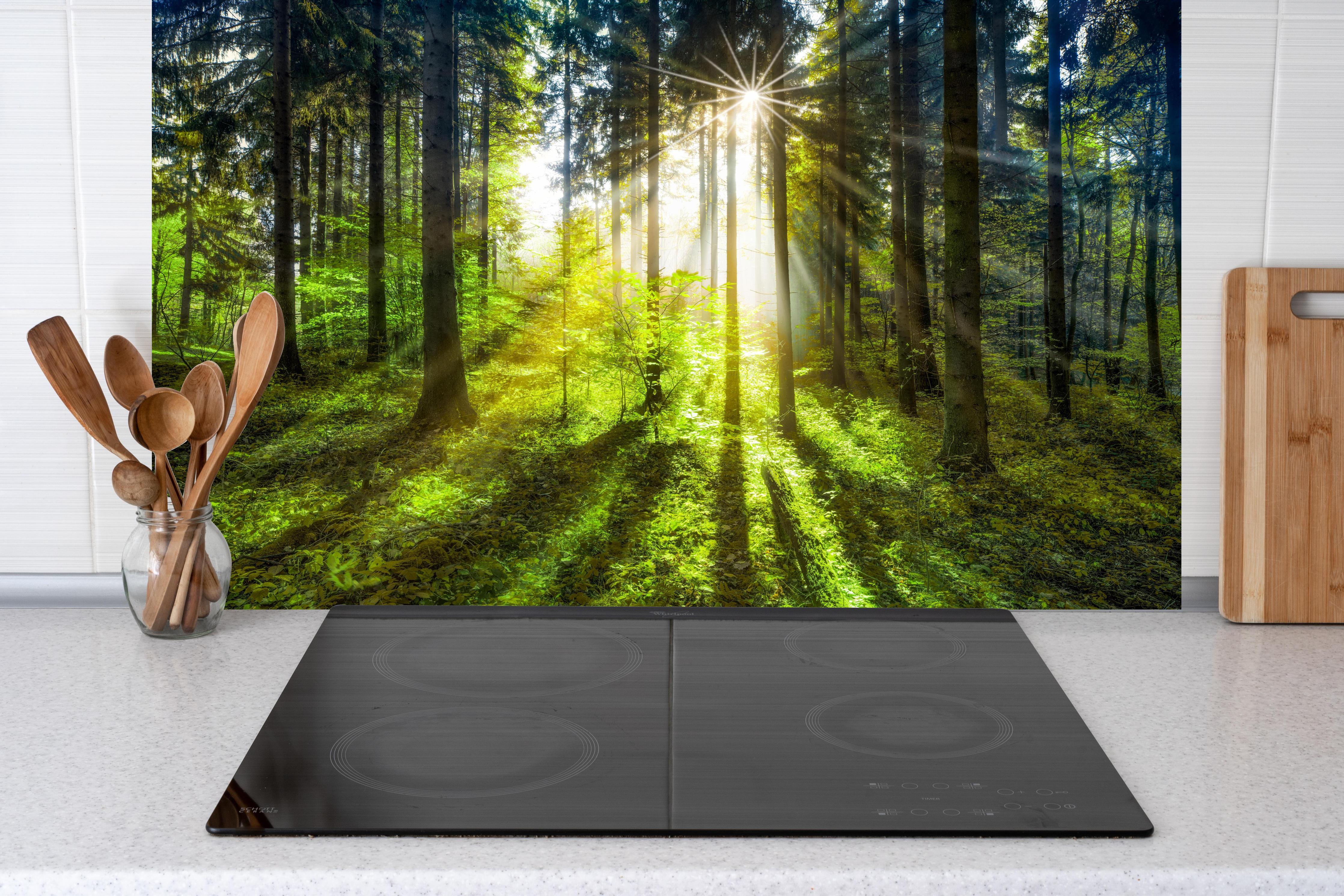 Küche - Sonnenstrahlen im lebendigem Wald hinter weißen Hochglanz-Küchenregalen und schwarzem Wasserhahn