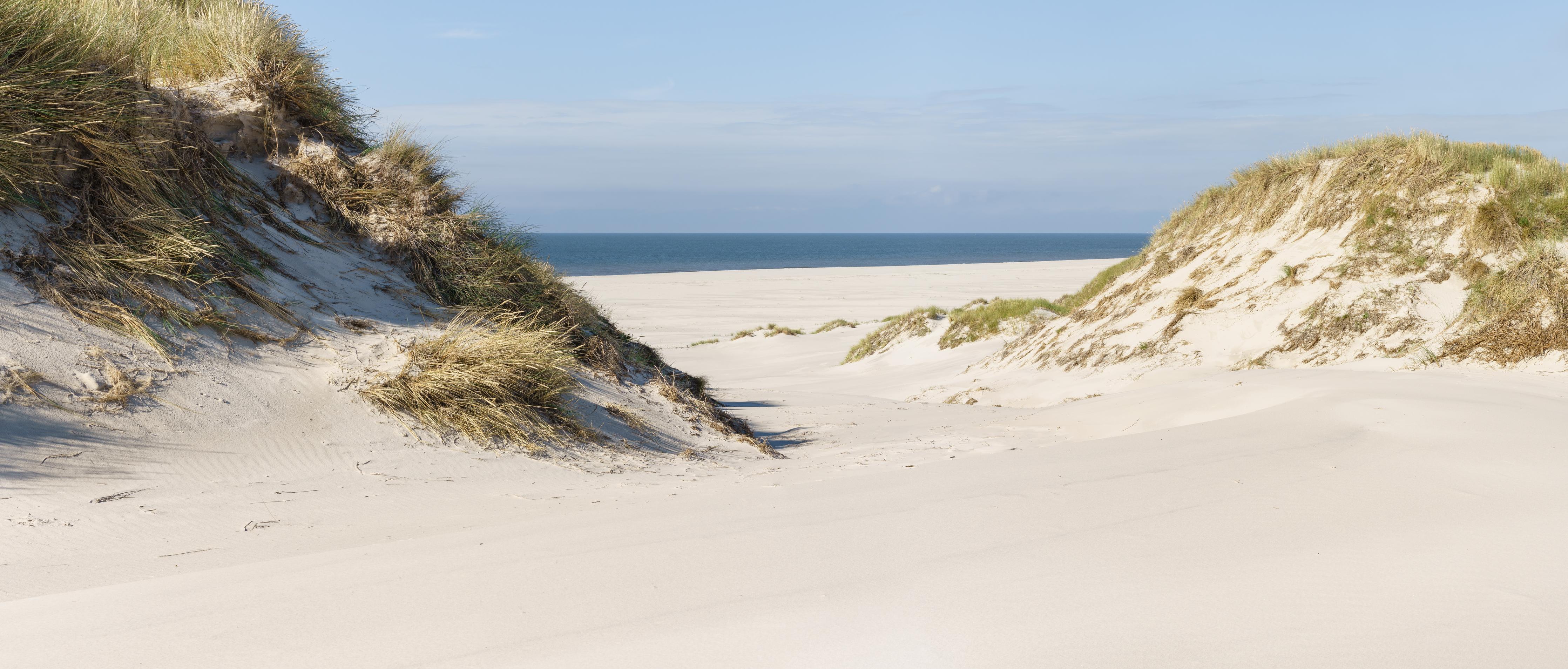Küchenrückwand-Traumhafte Sanddüne mit Blick auf das ruhige blaue Meer