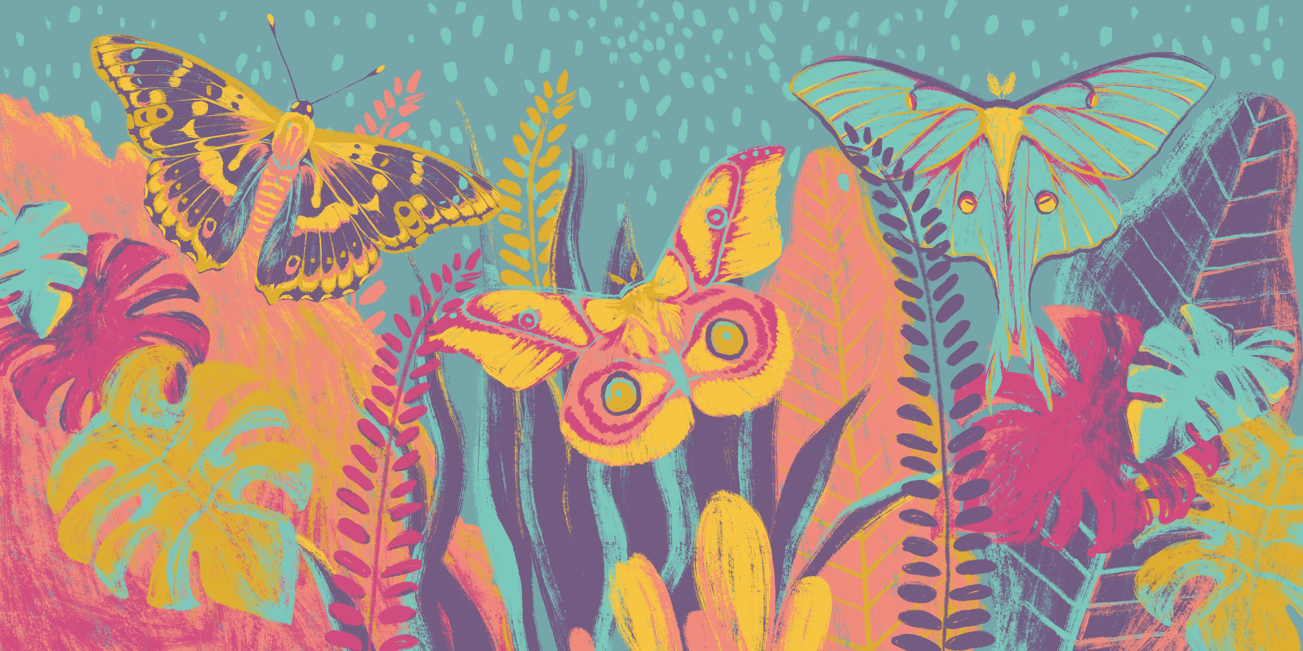 Küchenrückwand-Tropischer Blick - Bunt