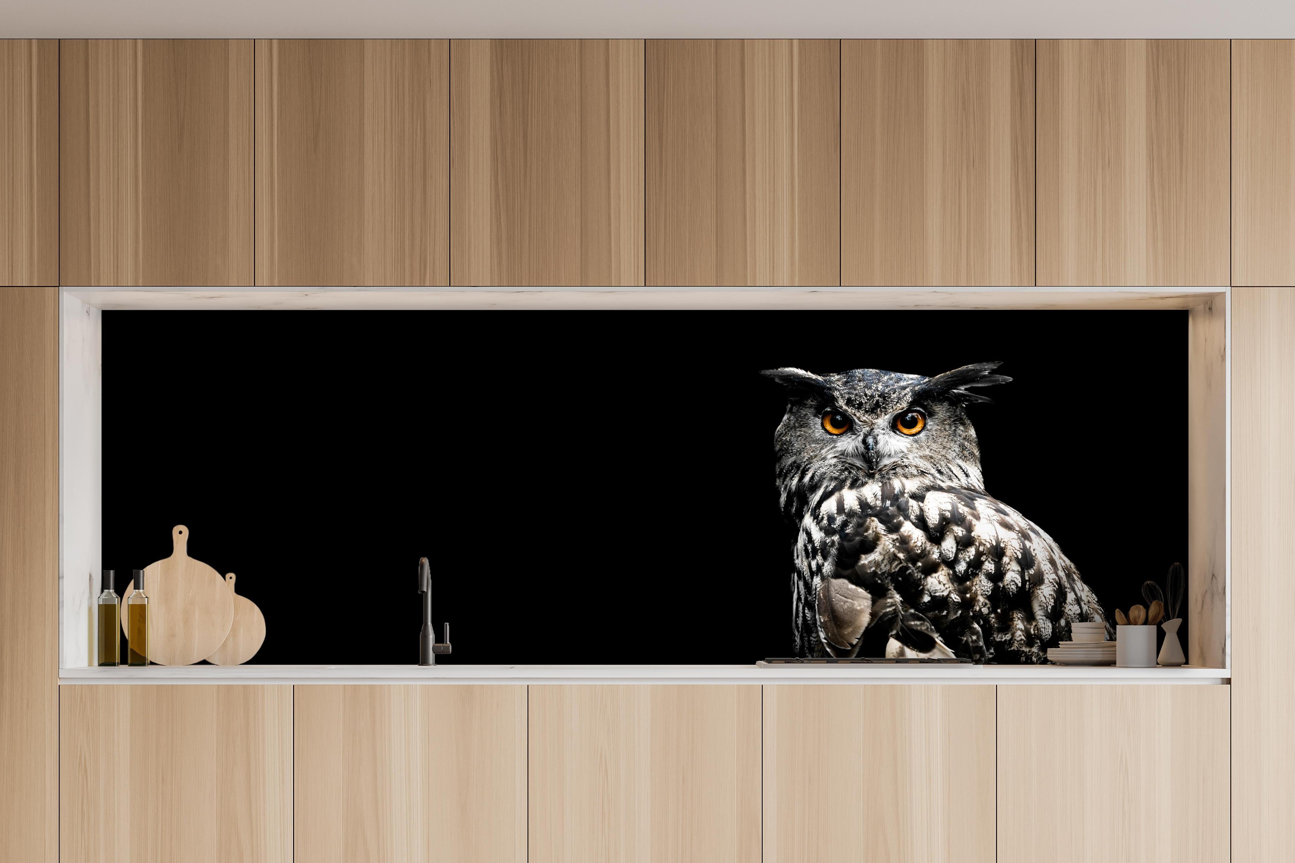Küche - Uhu auf schwarzem Hintergrund hinter weißen Hochglanz-Küchenregalen und schwarzem Wasserhahn