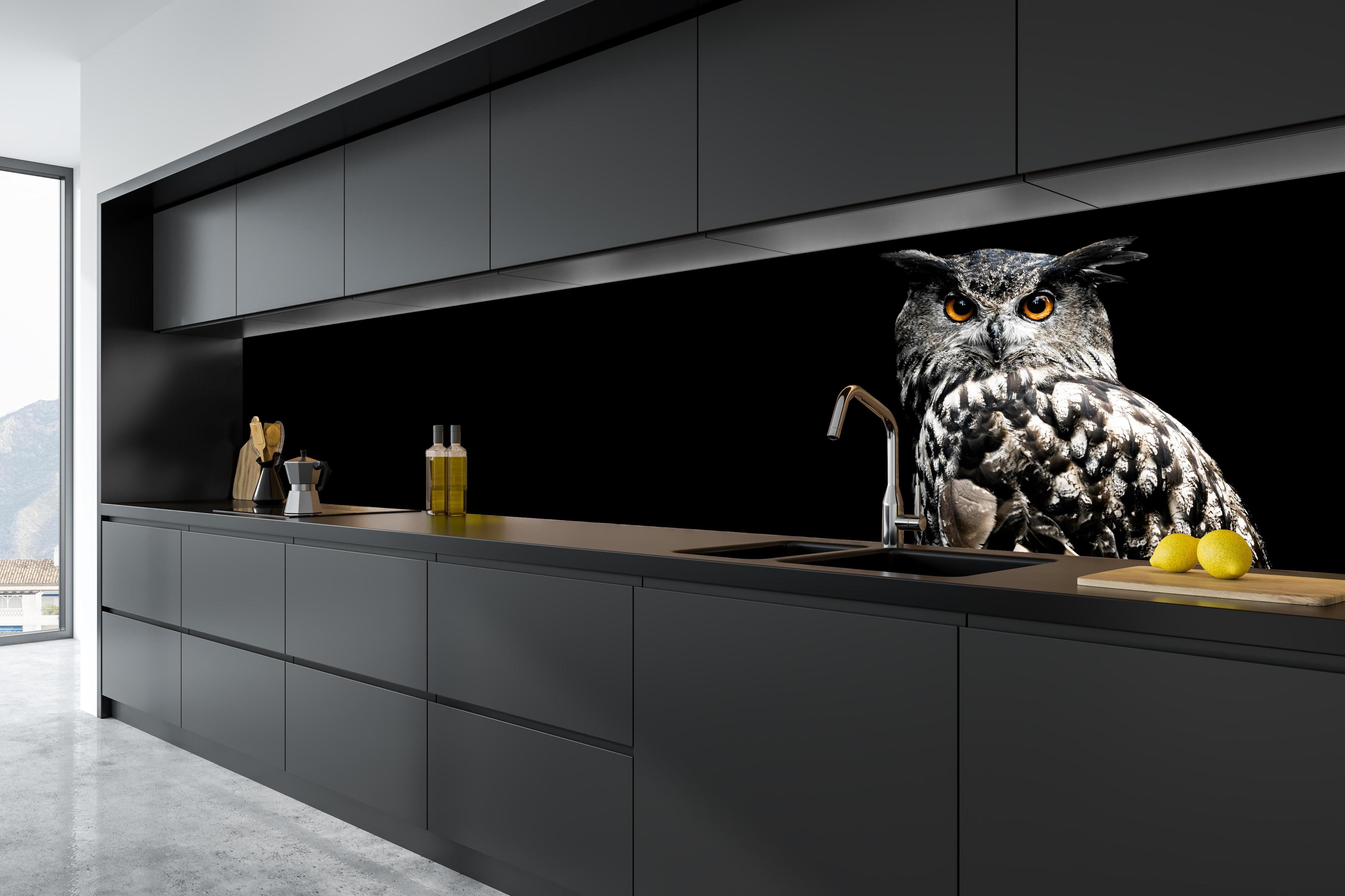 Küche - Uhu auf schwarzem Hintergrund hinter weißen Hochglanz-Küchenregalen und schwarzem Wasserhahn