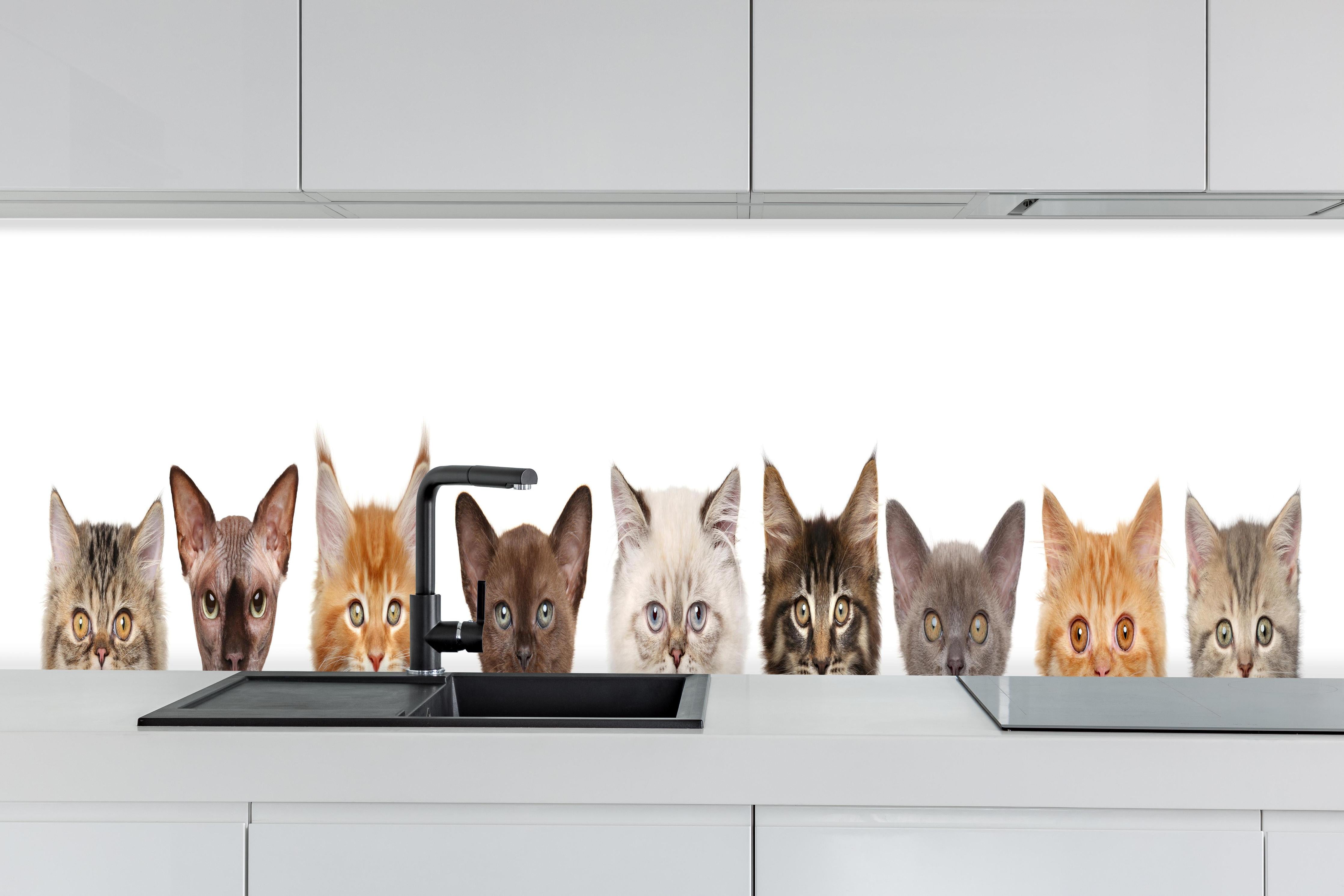 Küche - Verspielte Katzen-Motivsammlung in Grau-Weiß hinter weißen Hochglanz-Küchenregalen und schwarzem Wasserhahn