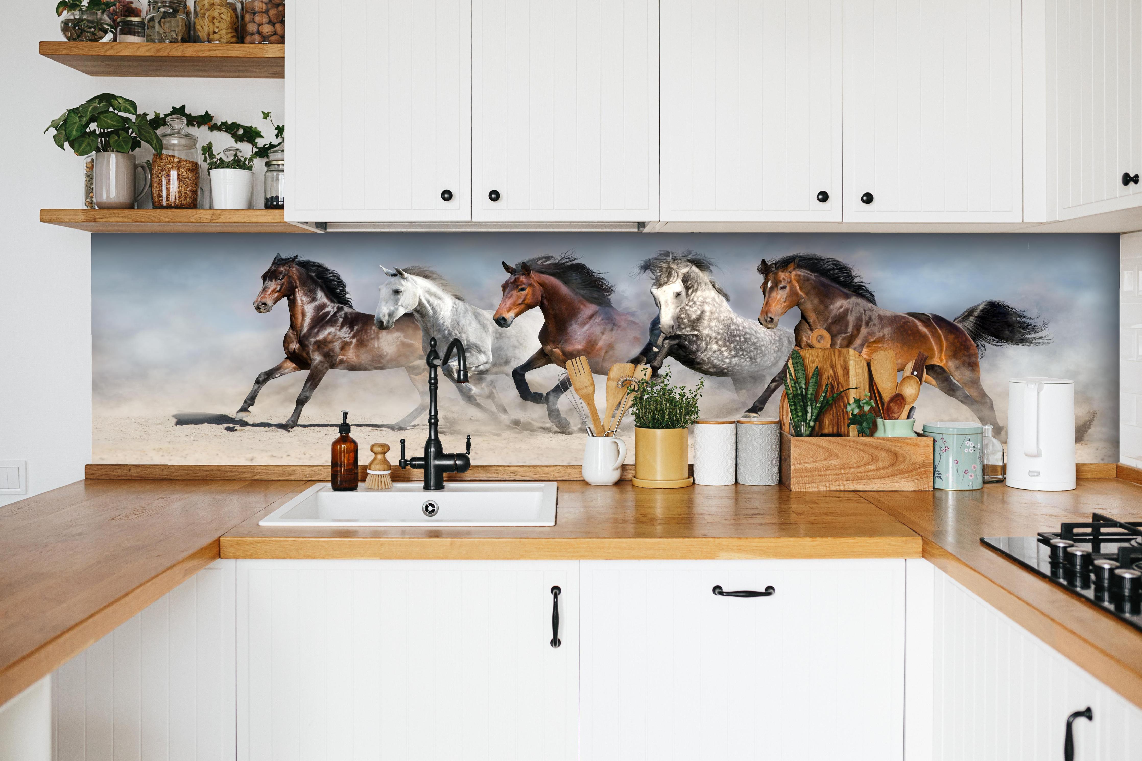 Küche - Vier Pferde rennen Sandwolke Himmel hinter weißen Hochglanz-Küchenregalen und schwarzem Wasserhahn