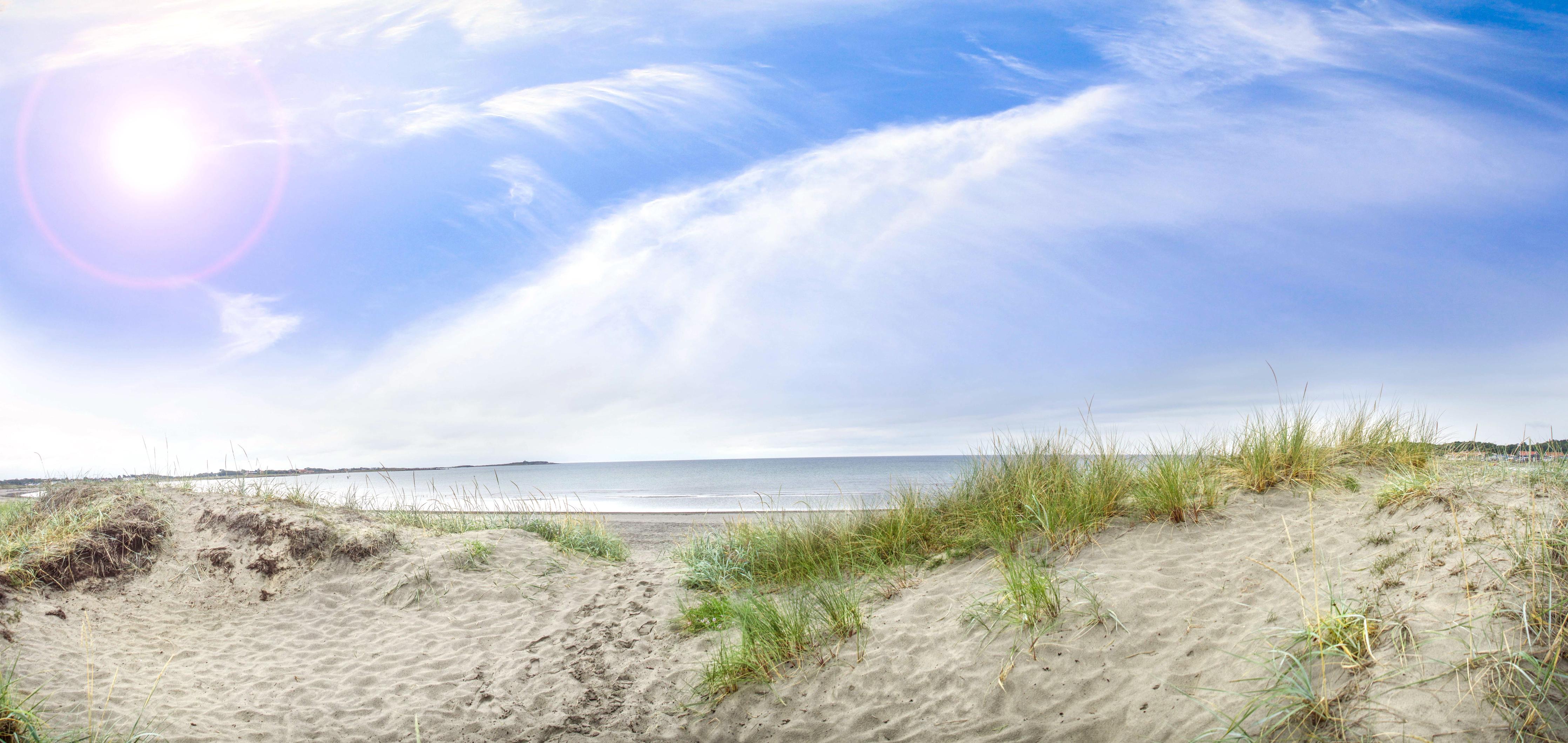 Küchenrückwand-Weitläufige Strandlandschaft mit sanften Dünen, Himmel und ruhigem Wasser