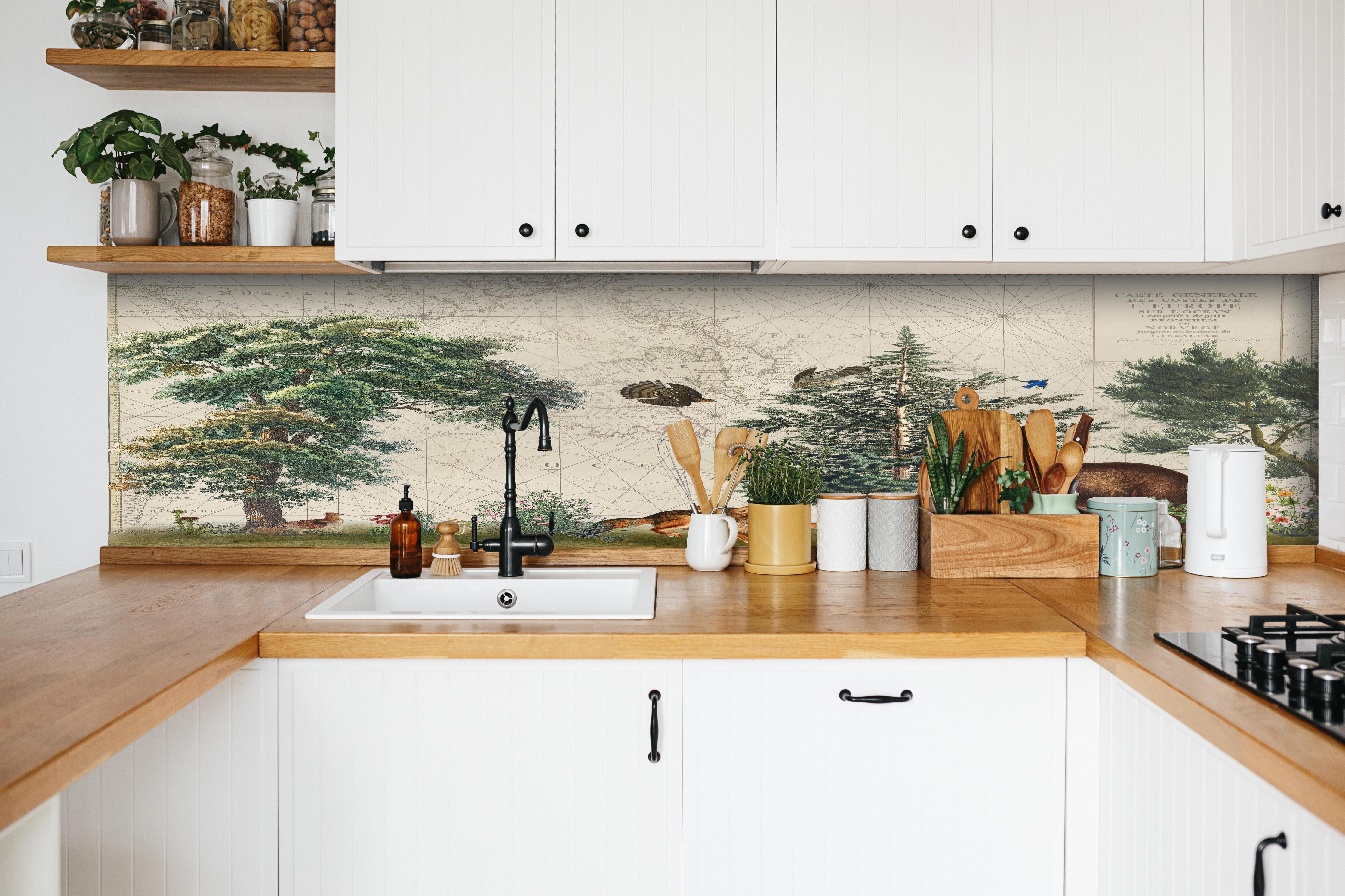 Küche - Weltkarte mit tropischem Wald hinter weißen Hochglanz-Küchenregalen und schwarzem Wasserhahn