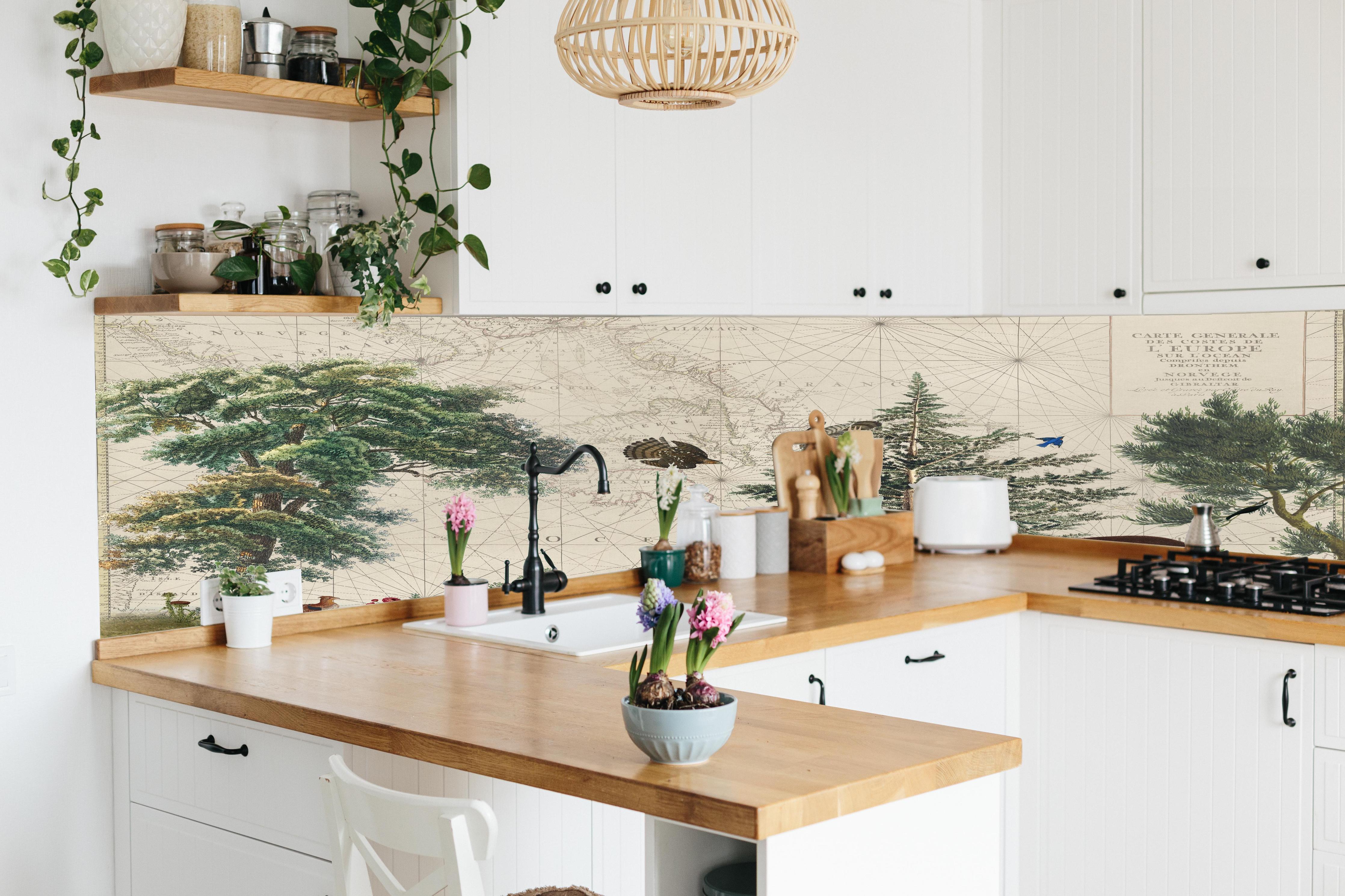Küche - Weltkarte mit tropischem Wald hinter weißen Hochglanz-Küchenregalen und schwarzem Wasserhahn