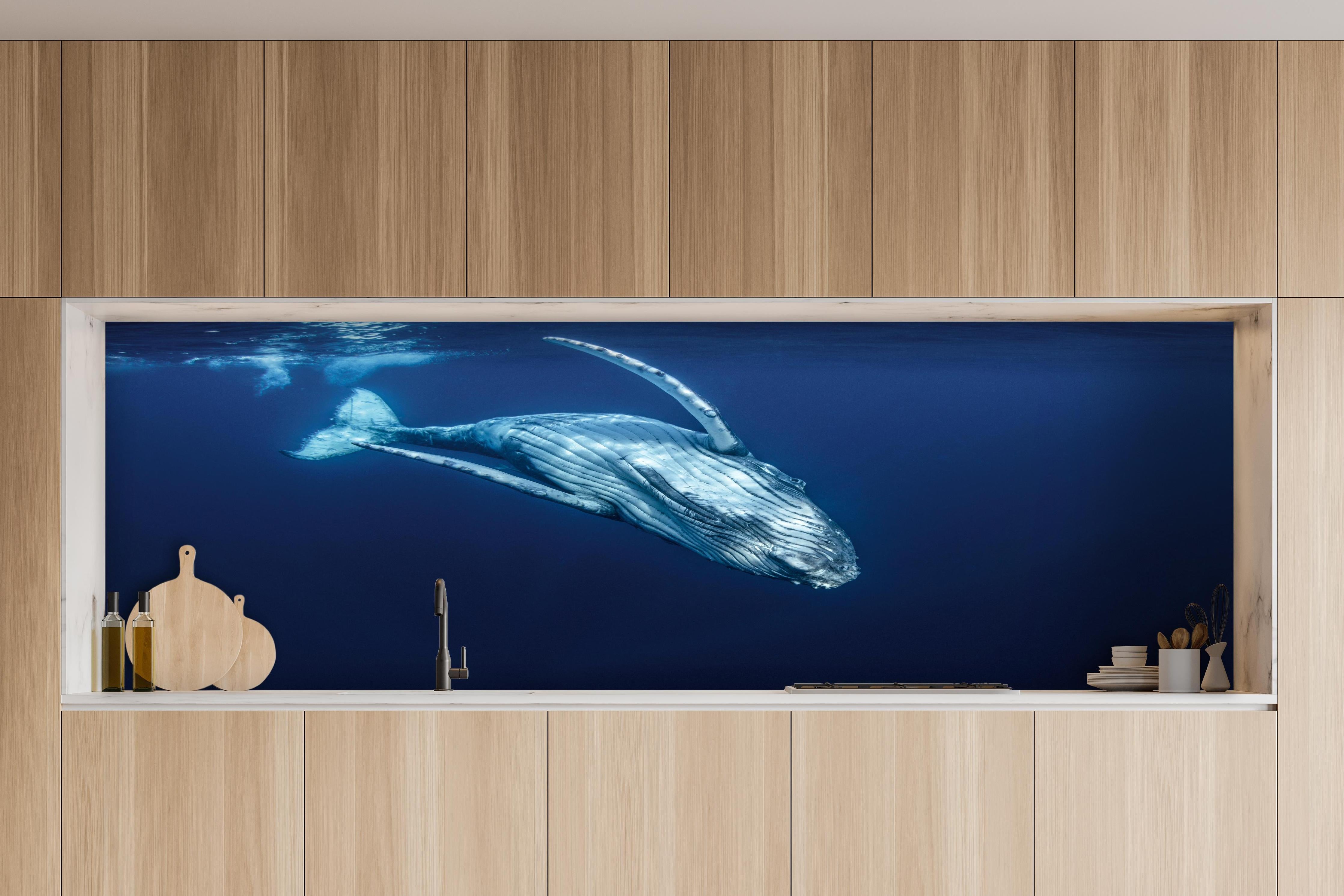 Küche - Wunderschönes Buckelwalbaby hinter weißen Hochglanz-Küchenregalen und schwarzem Wasserhahn