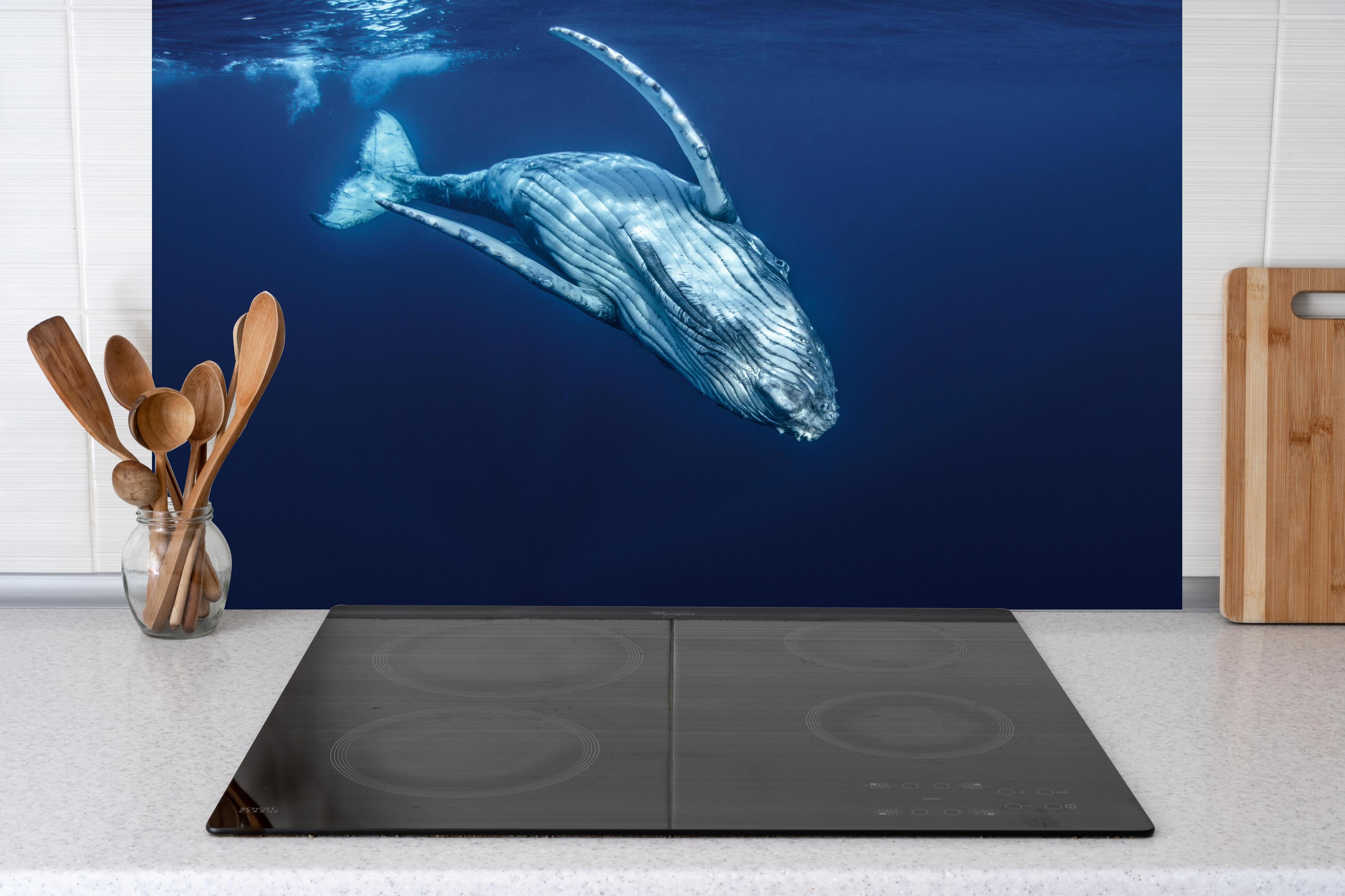 Küche - Wunderschönes Buckelwalbaby hinter weißen Hochglanz-Küchenregalen und schwarzem Wasserhahn