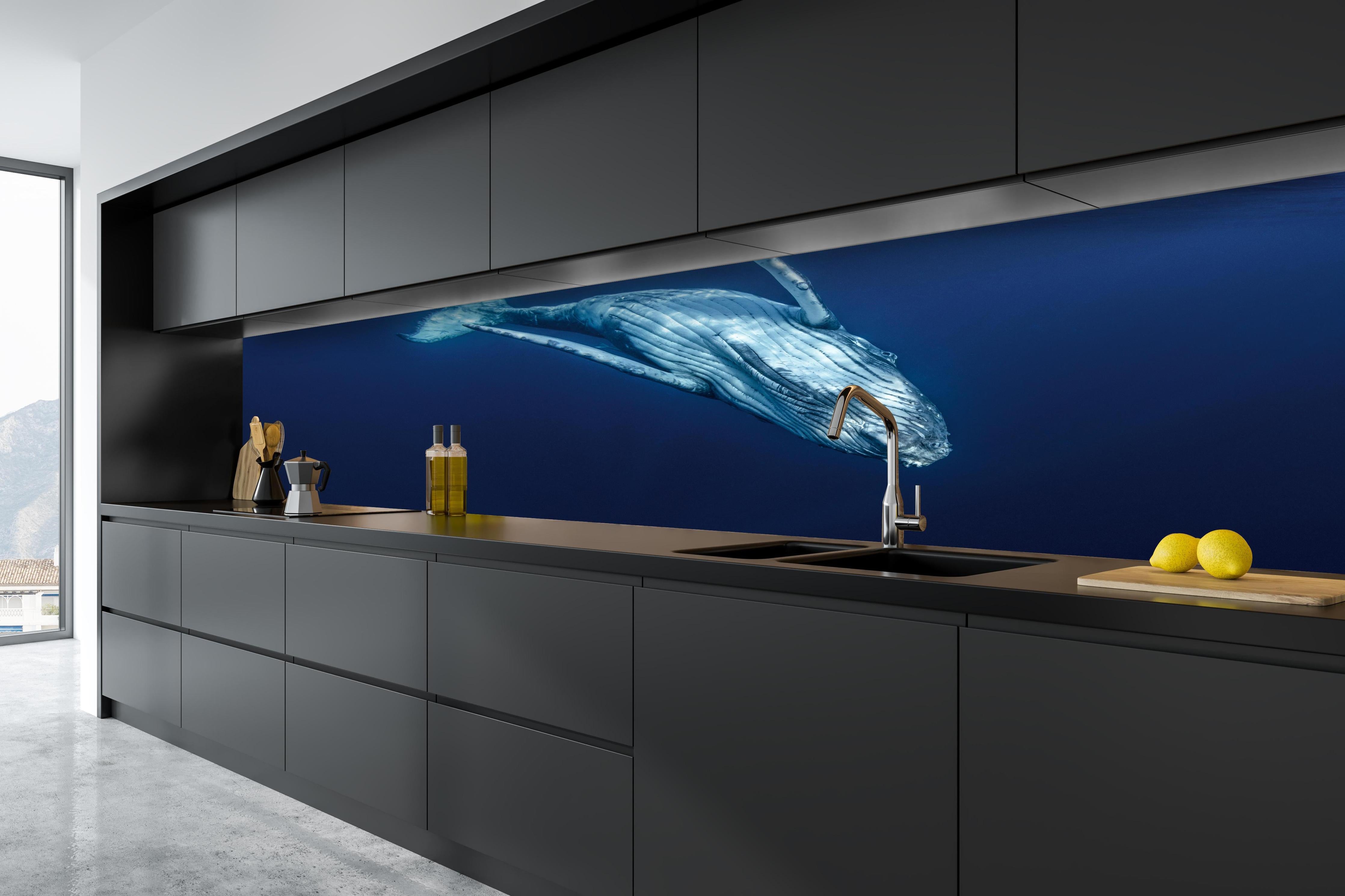 Küche - Wunderschönes Buckelwalbaby hinter weißen Hochglanz-Küchenregalen und schwarzem Wasserhahn